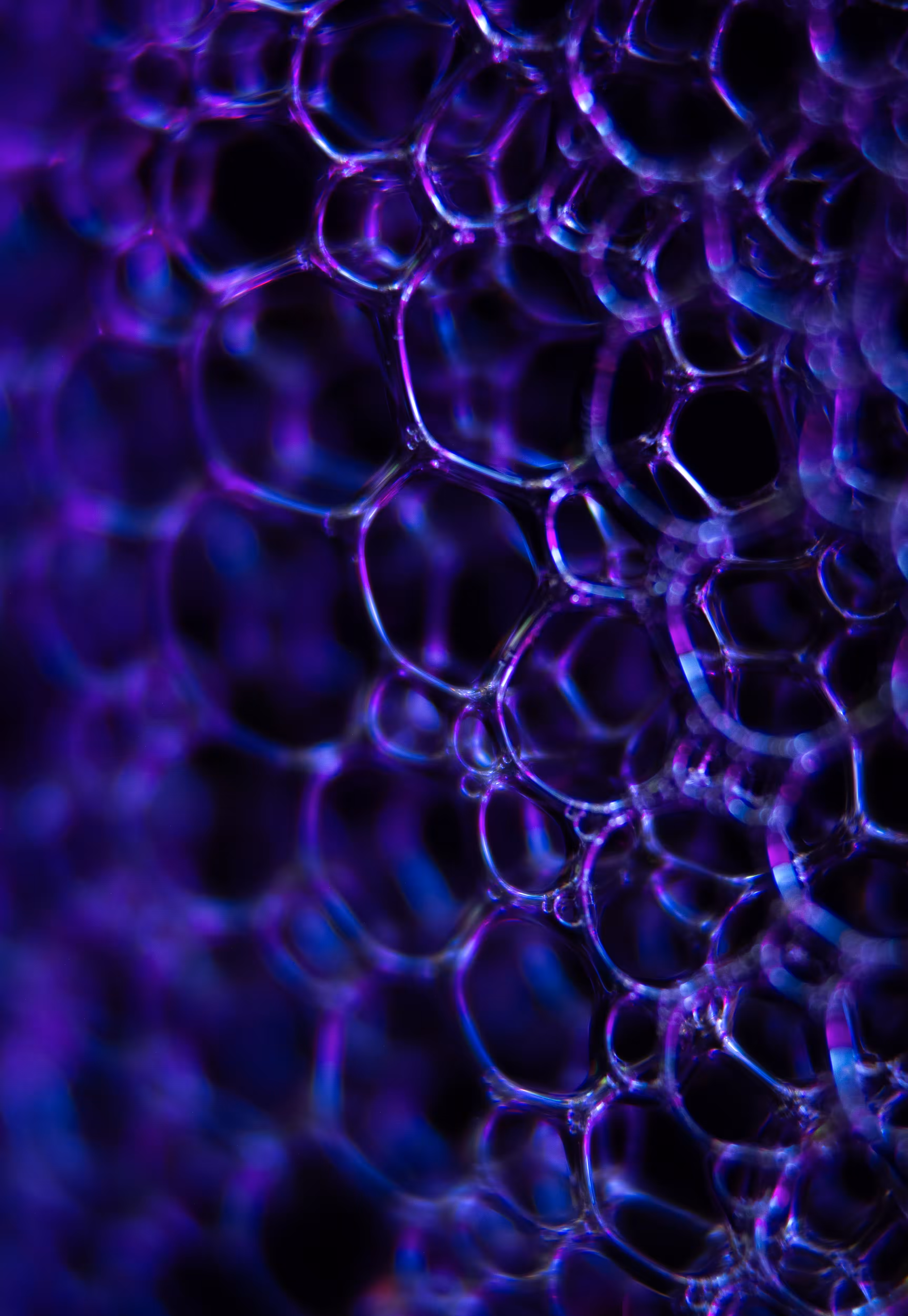 Abstract World of Soap Bubbles: #209 Bubbles