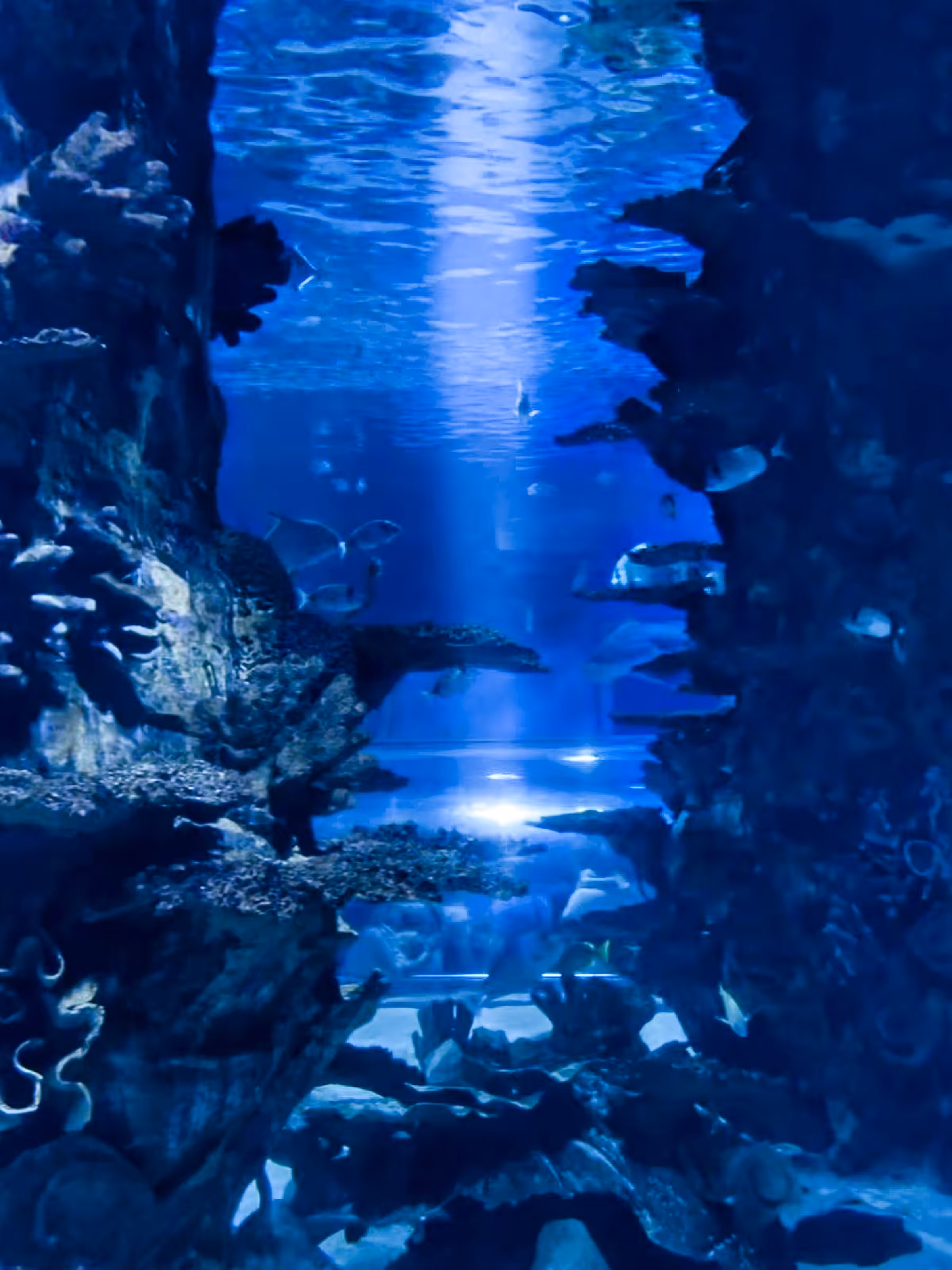 A World Unseen