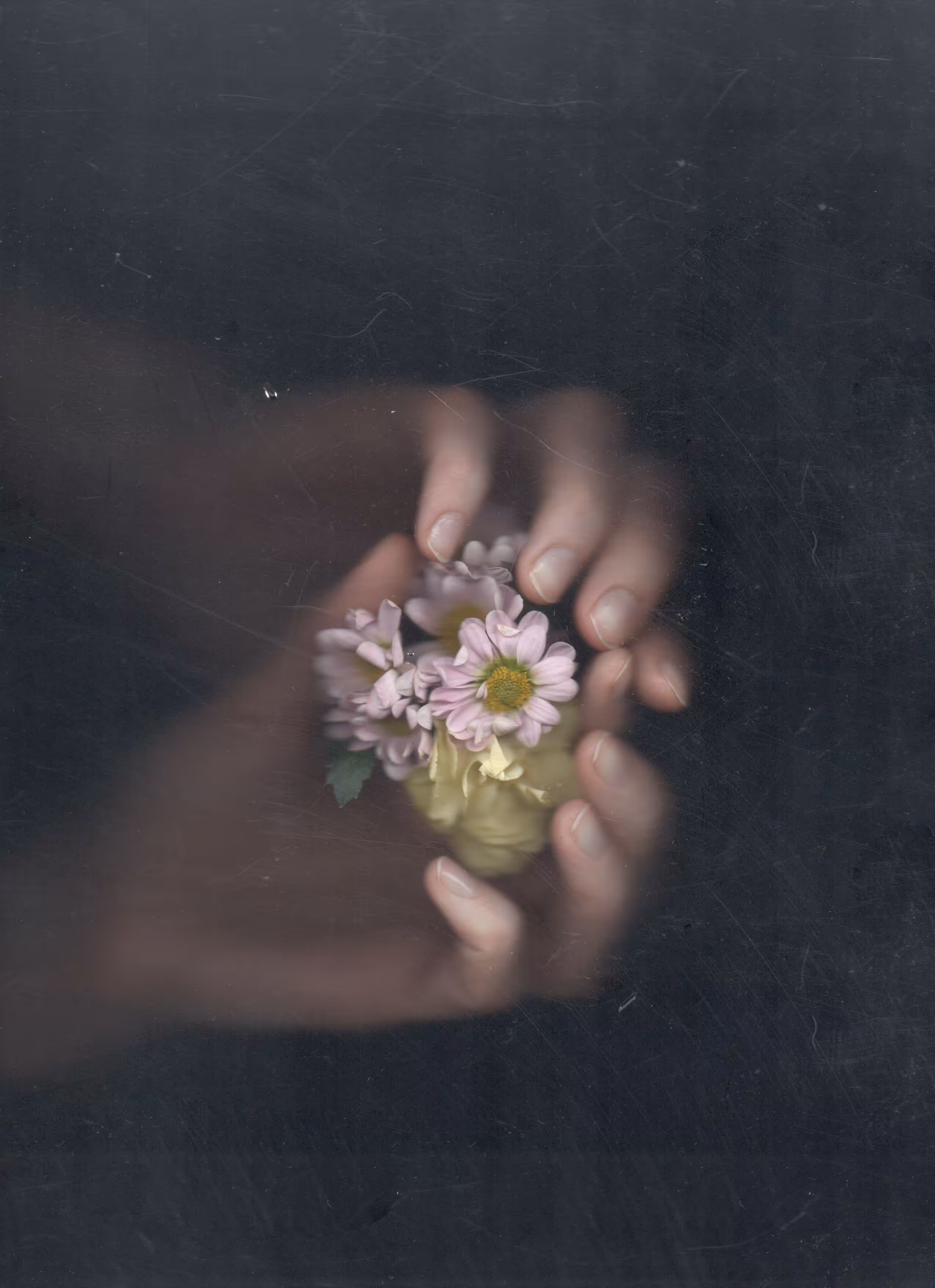 Scanography poster: Stars in hands