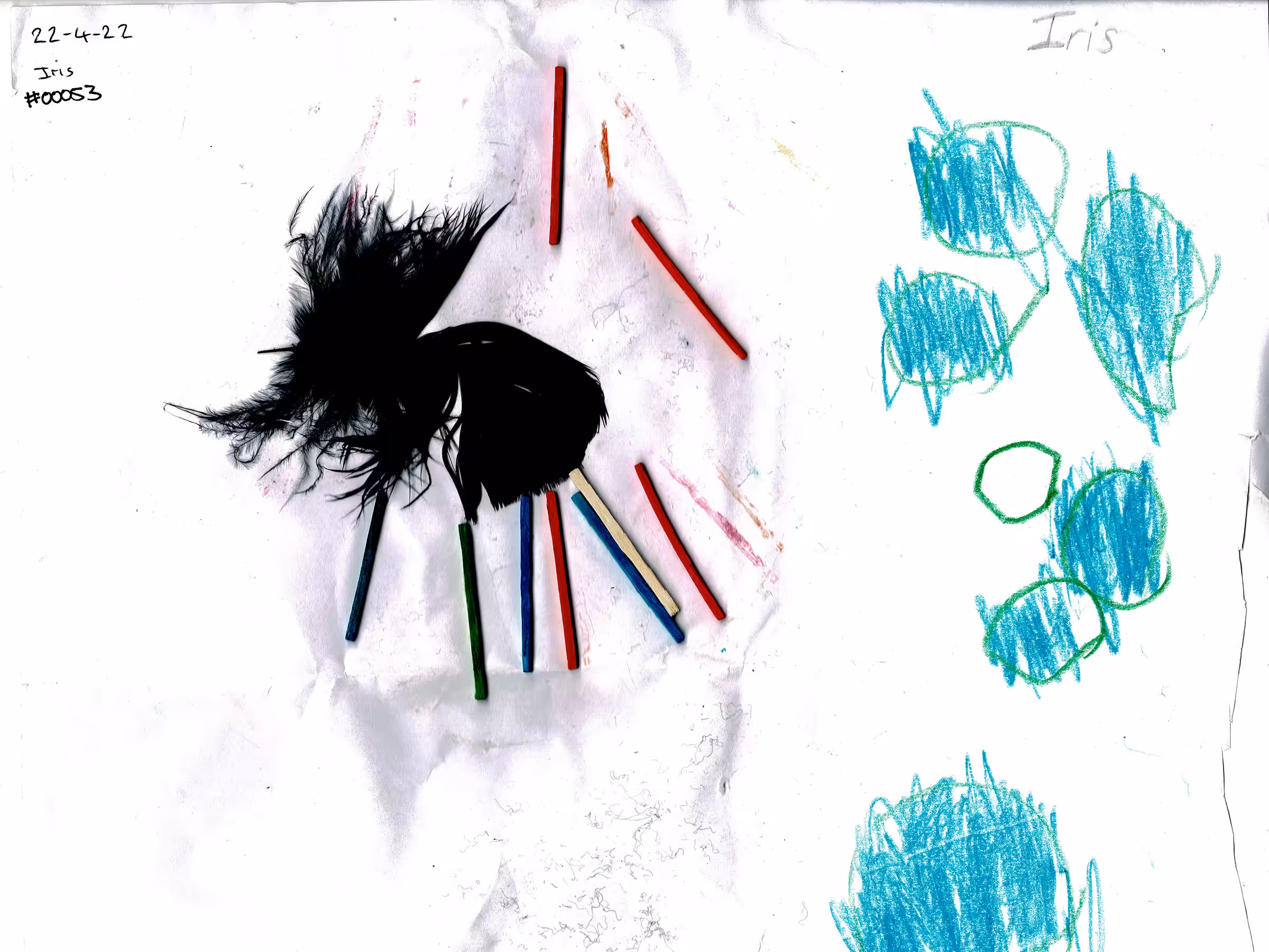 #00053 Sticks and Feathers 220422