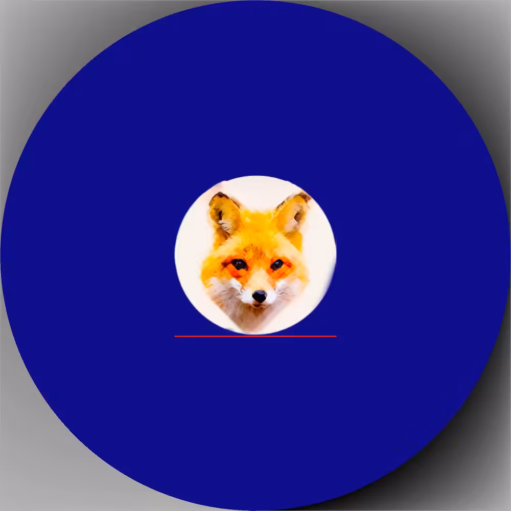 Slitscan_2_Fox
