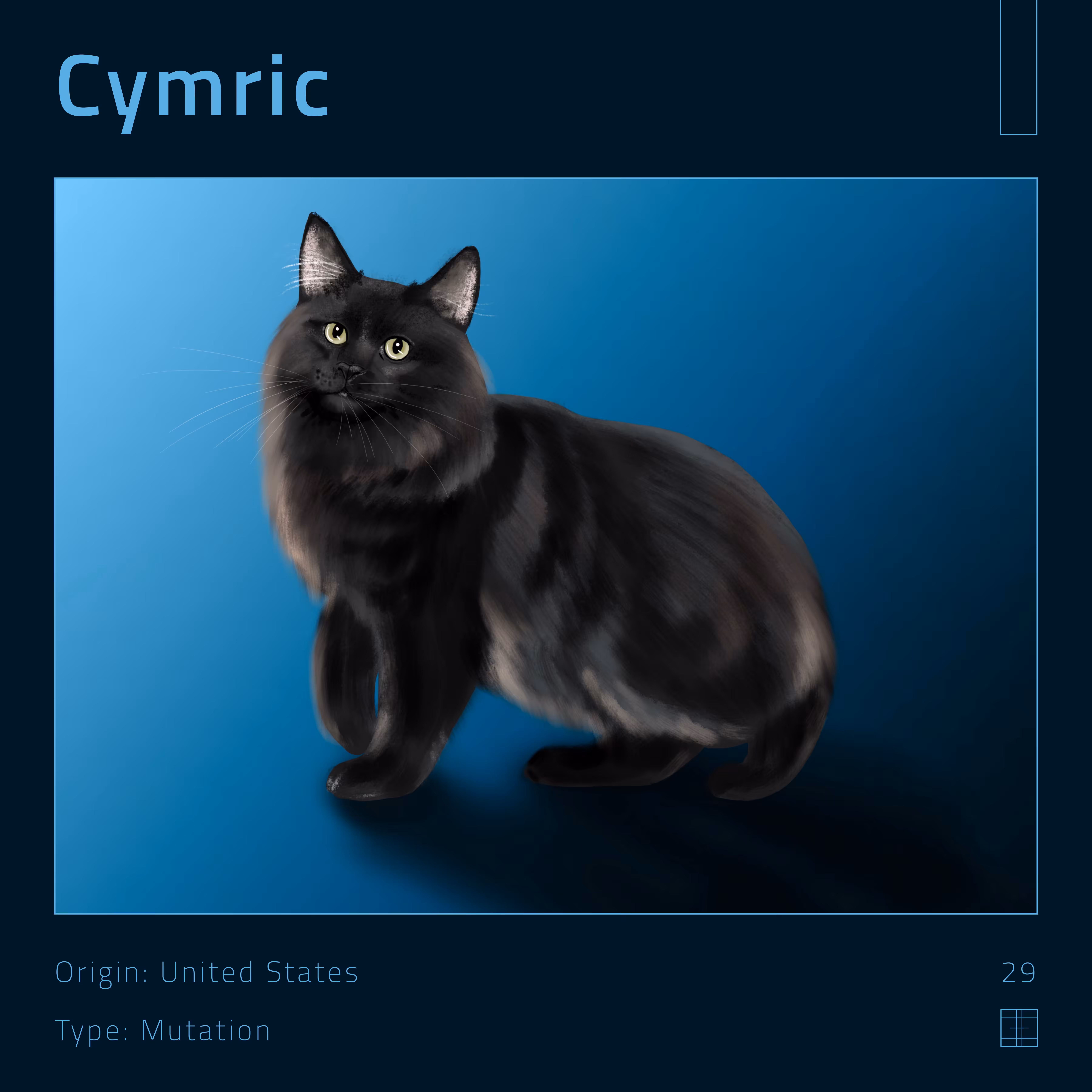 29 – Cymric cat