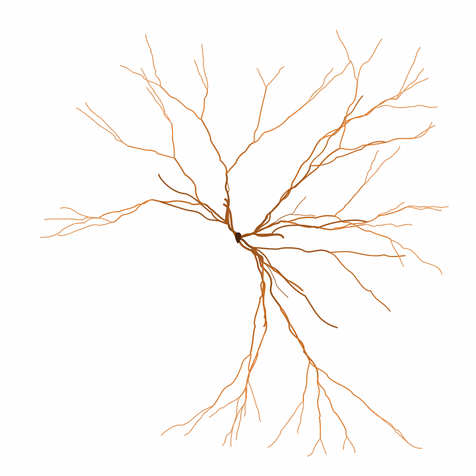 Ghost Forest Seedling #503