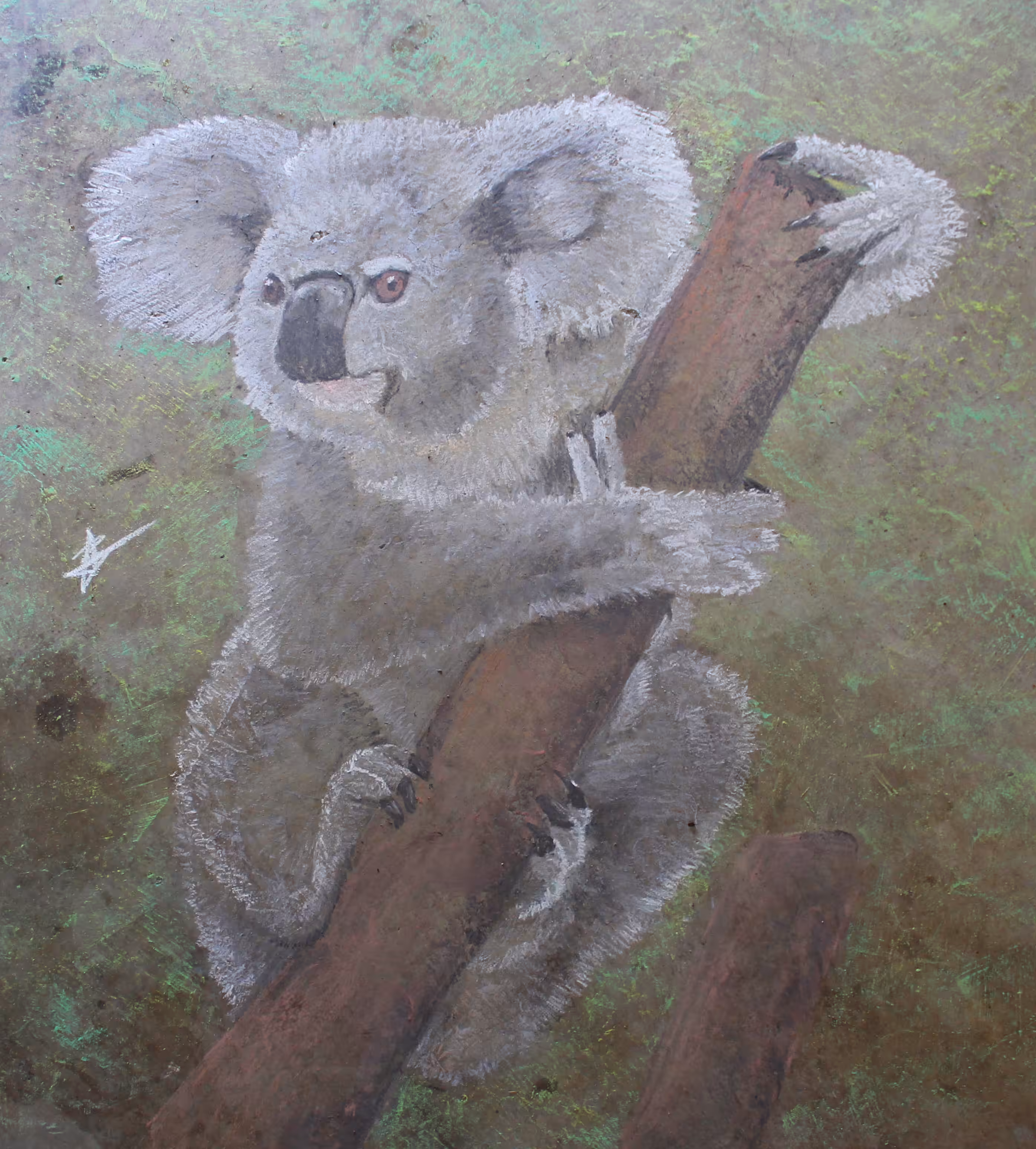 Chalk Series - Koala