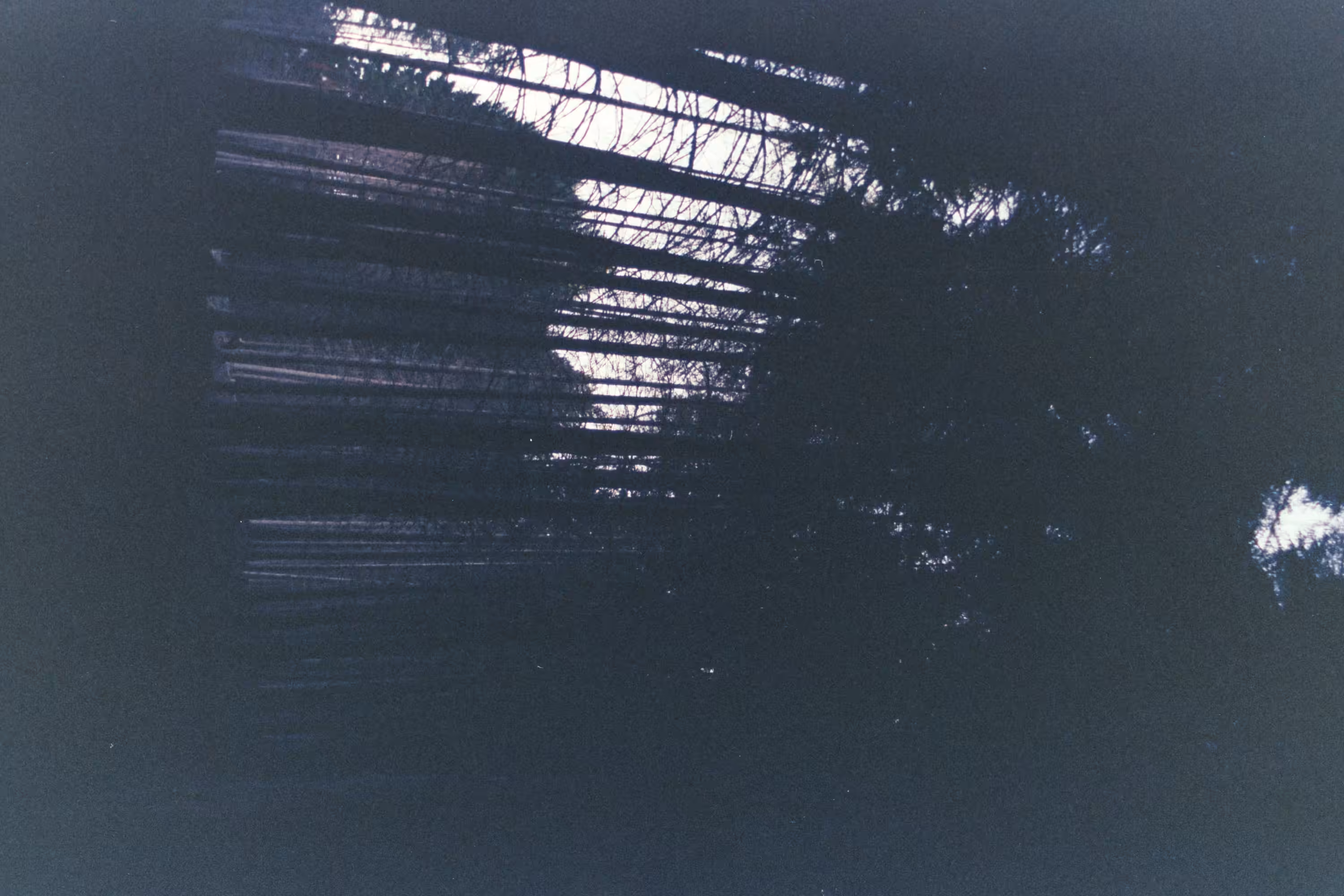 the last light