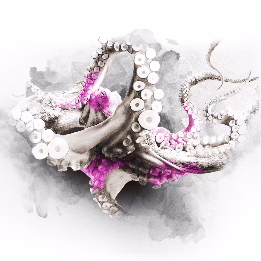 PINK SERIES - OCTO