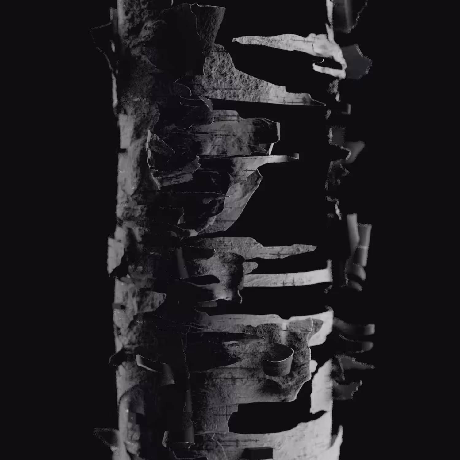 Ancient Future | The Grow: Birch