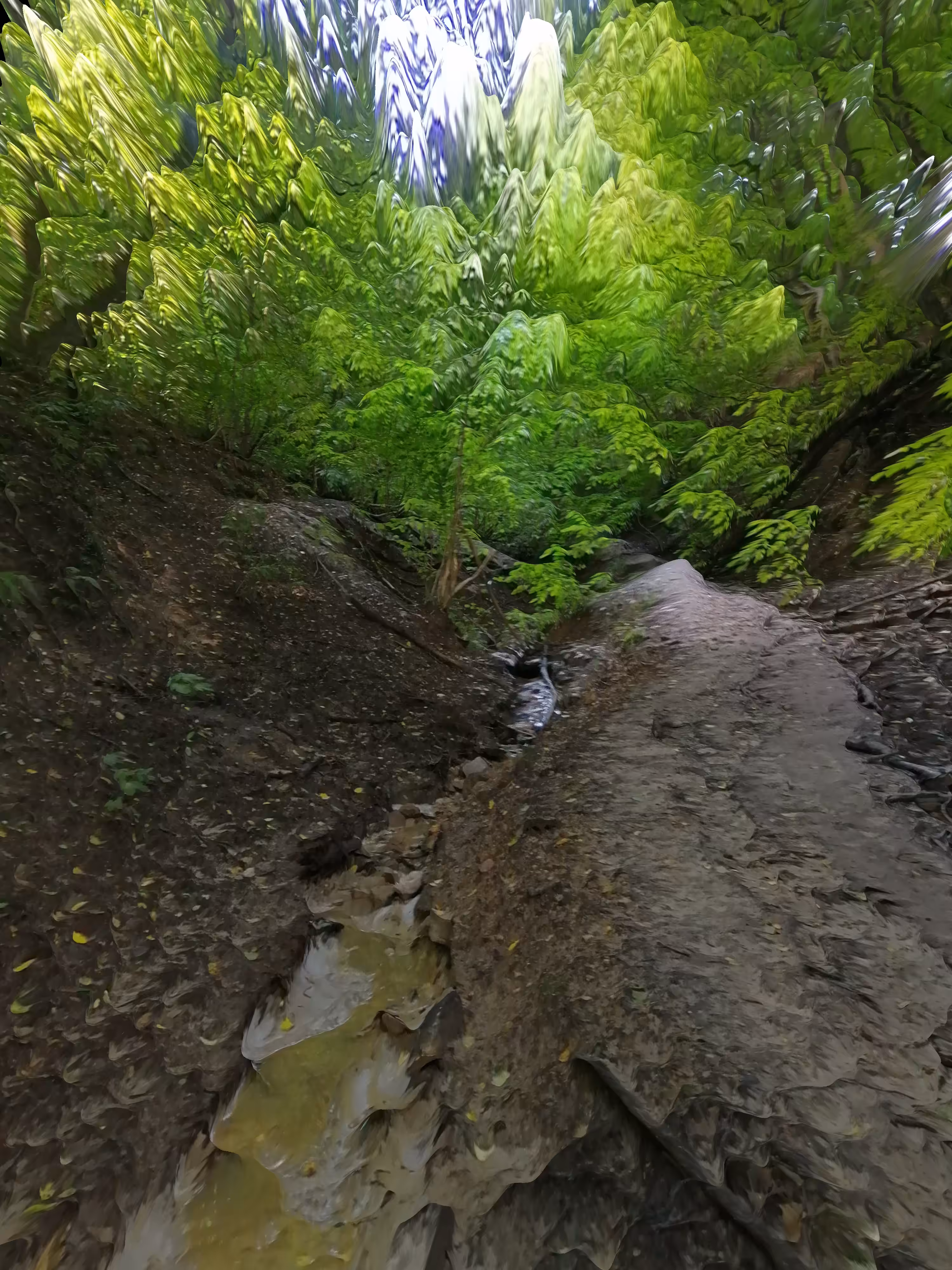 Landslide