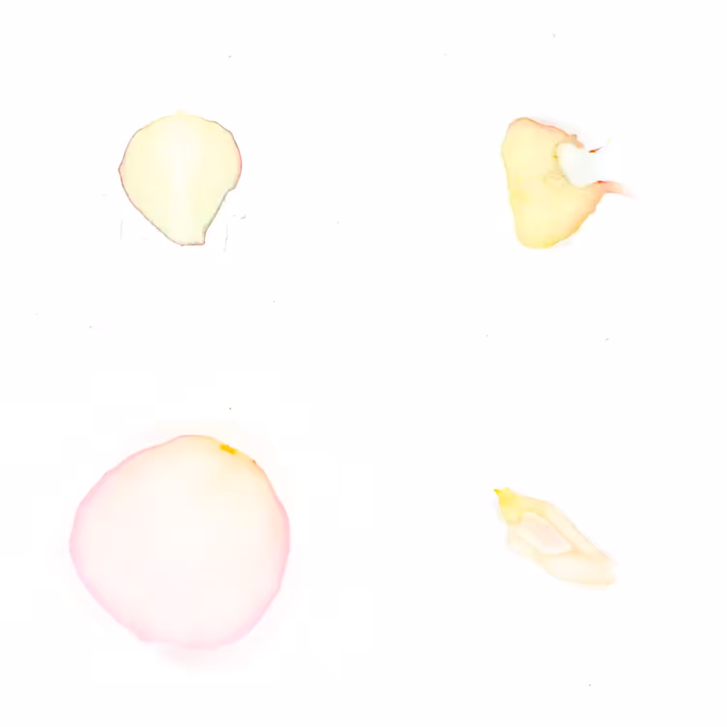Infinite Petals 2x2#4150