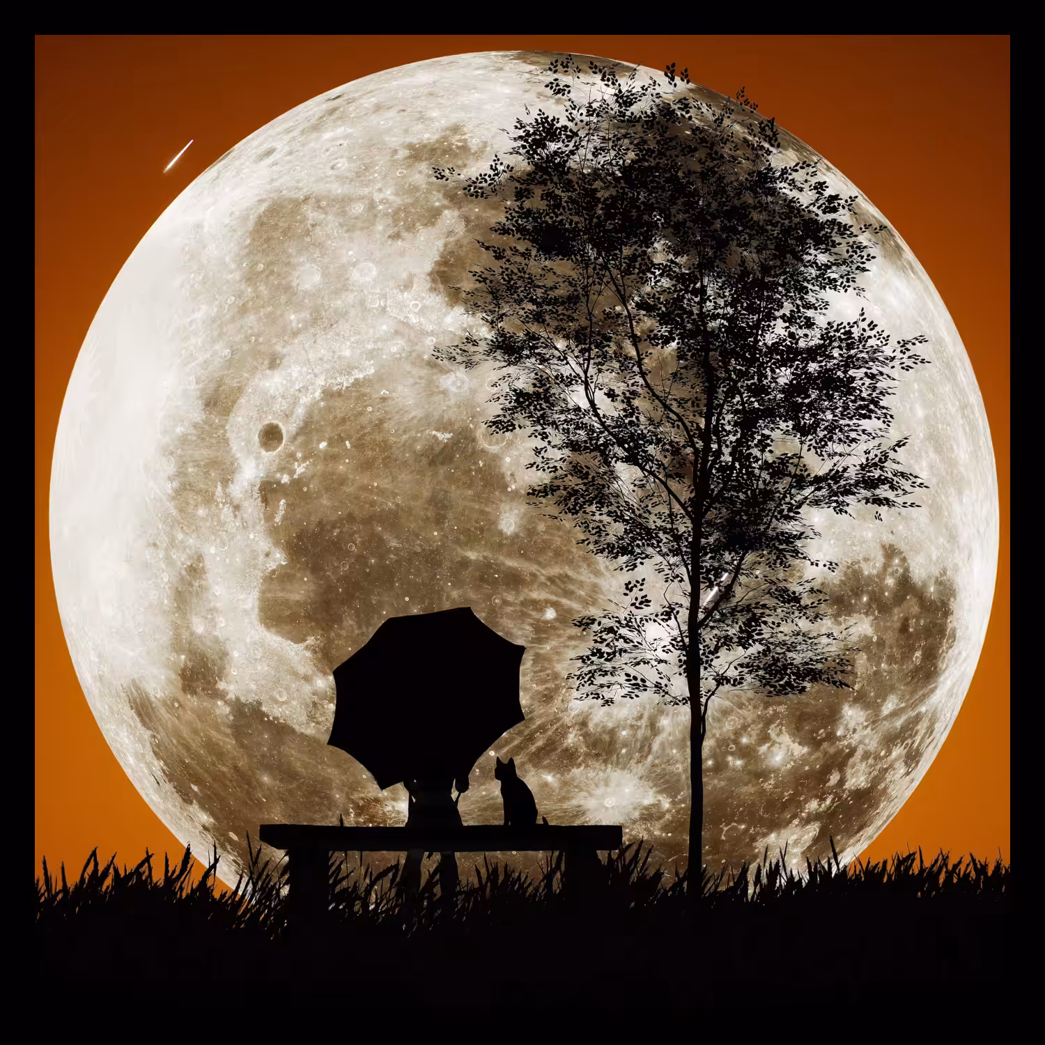 Full Moon