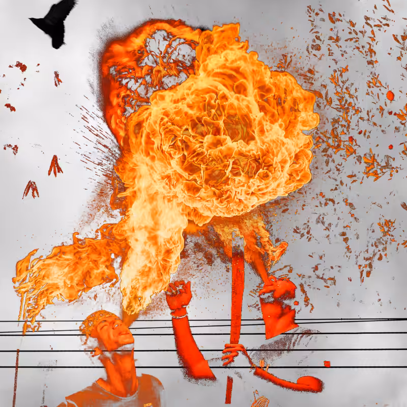 Free to burn #9