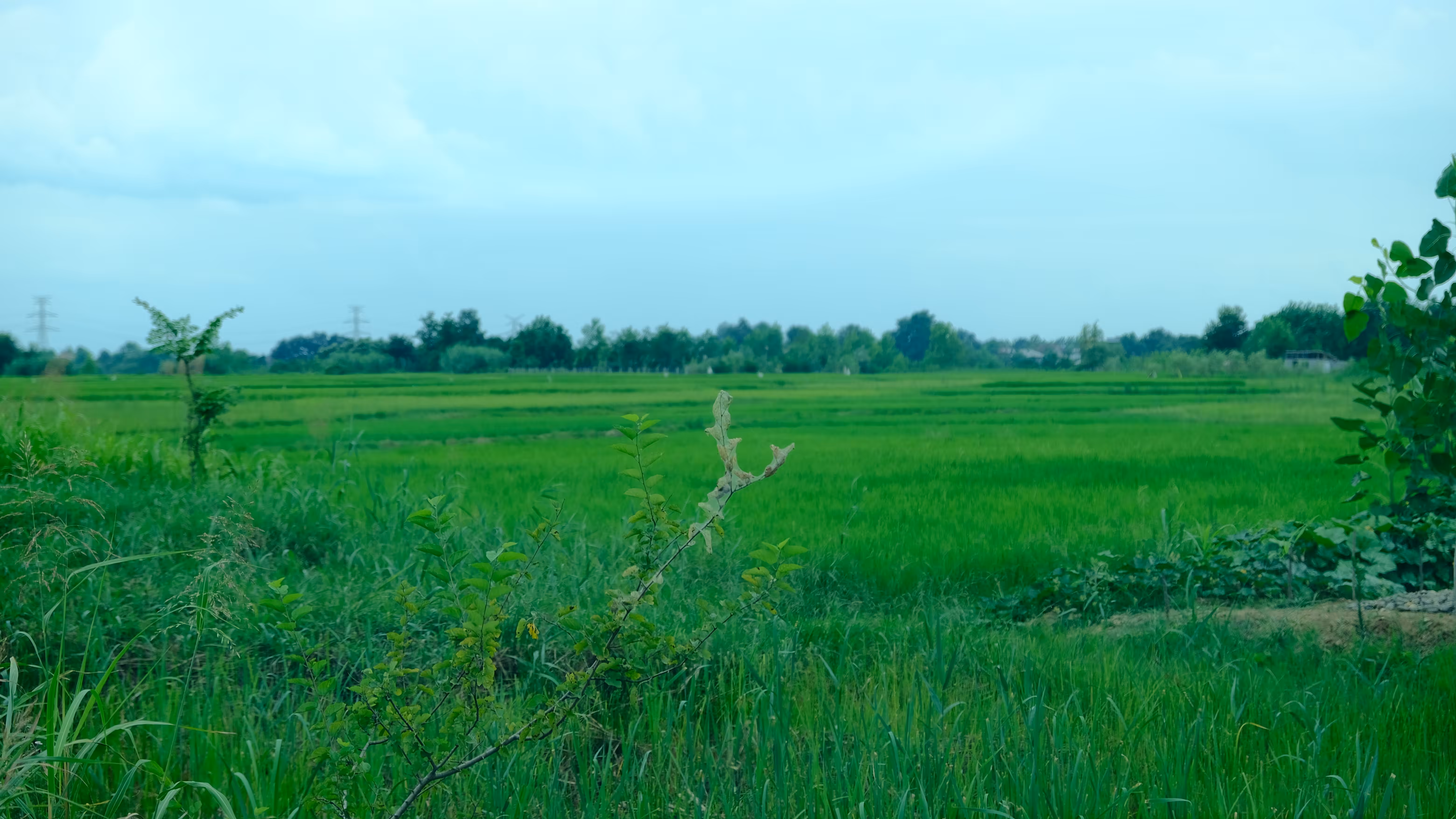 Green farm - Photoliminal Special