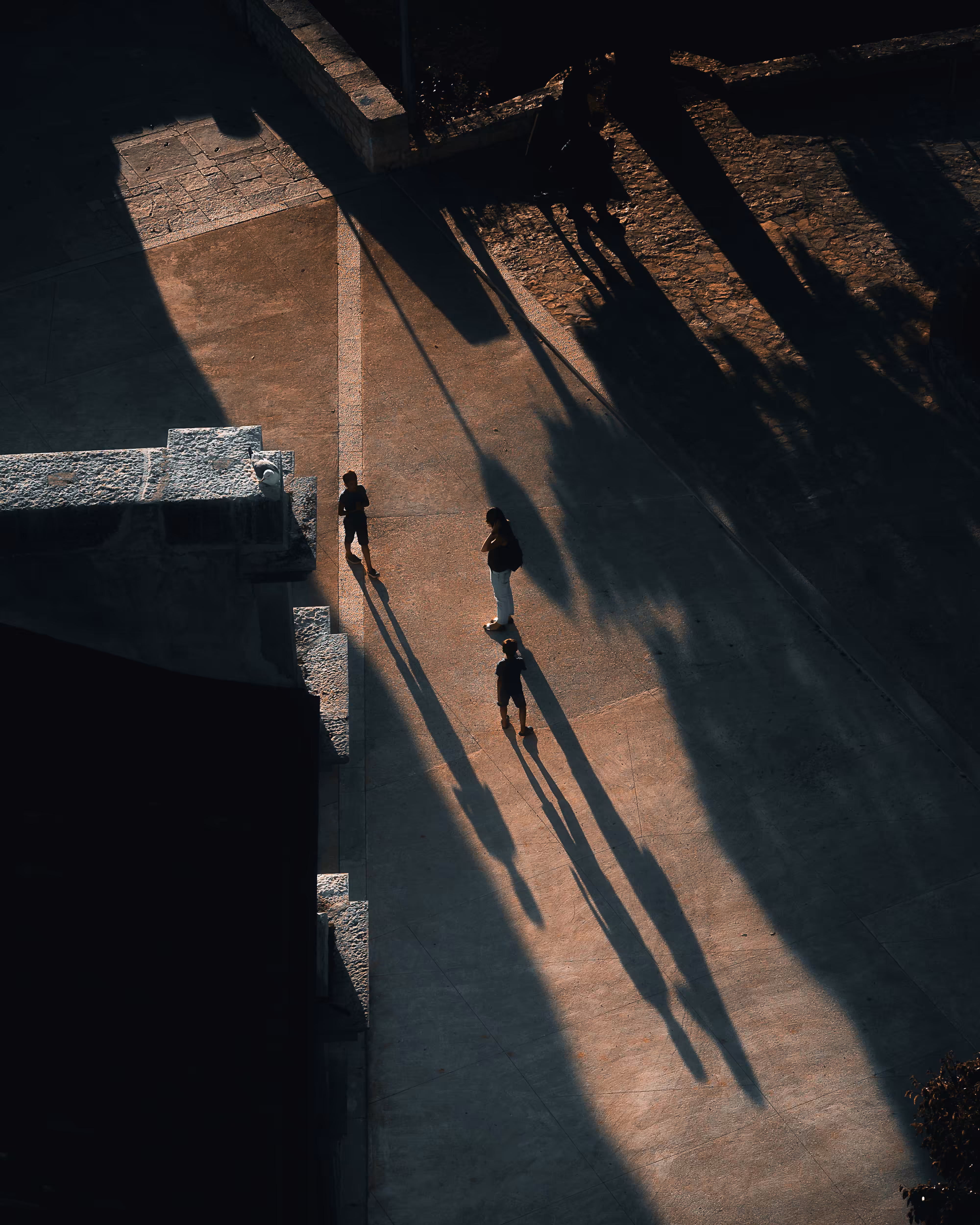 Stranger #16