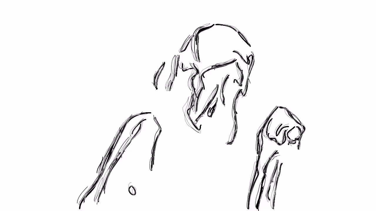 Sketch Dance