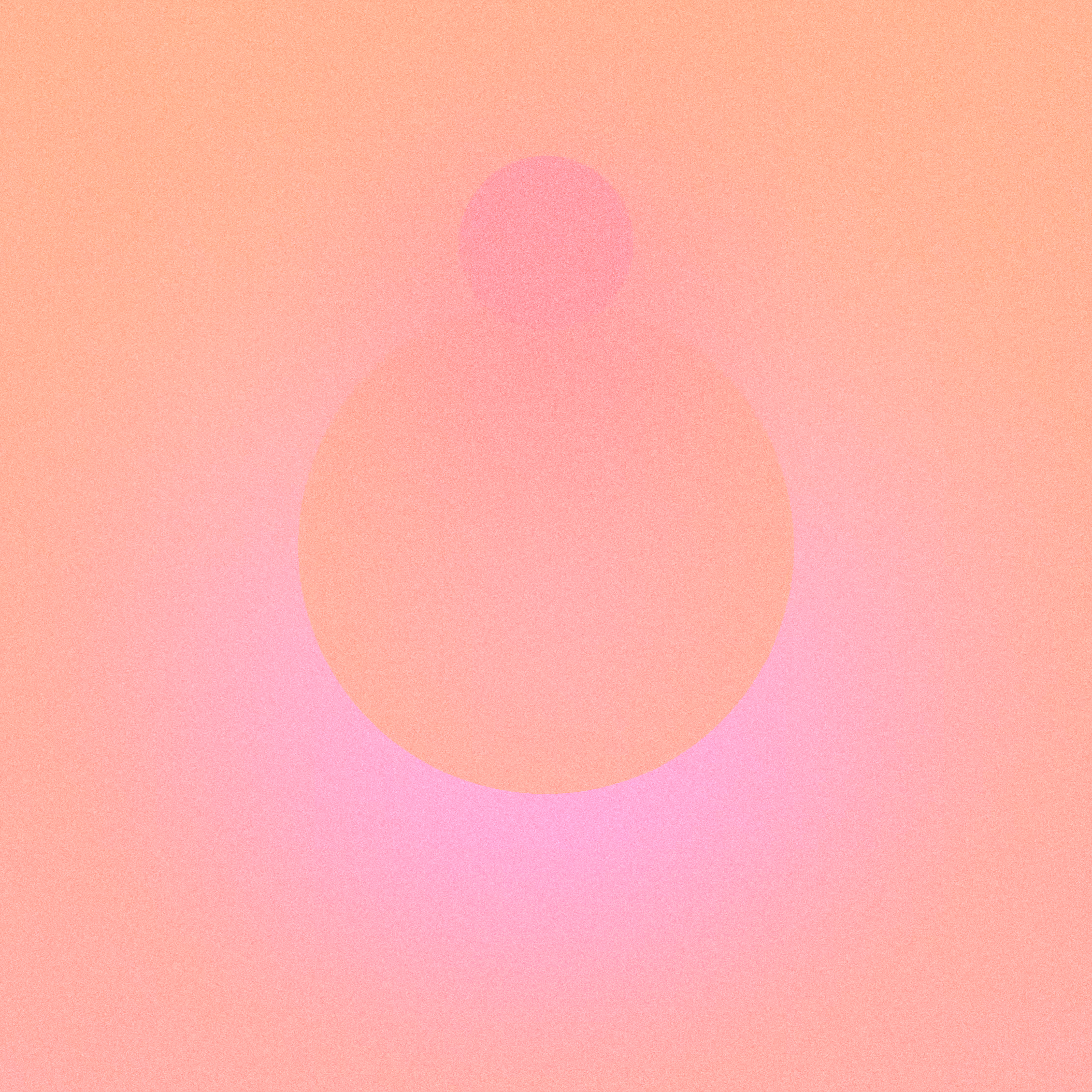 with the light 28