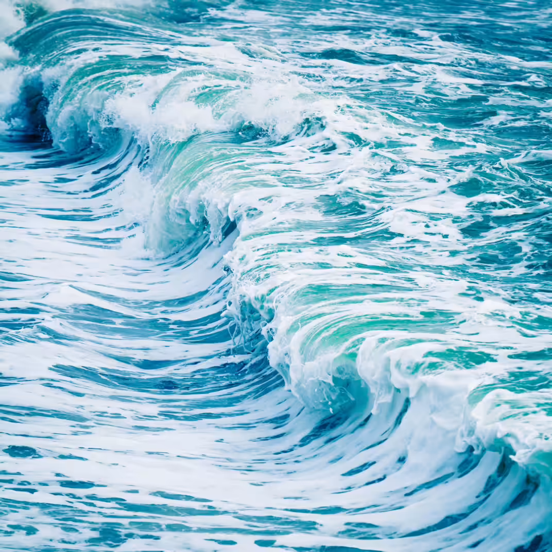 OCEAN WAVES
