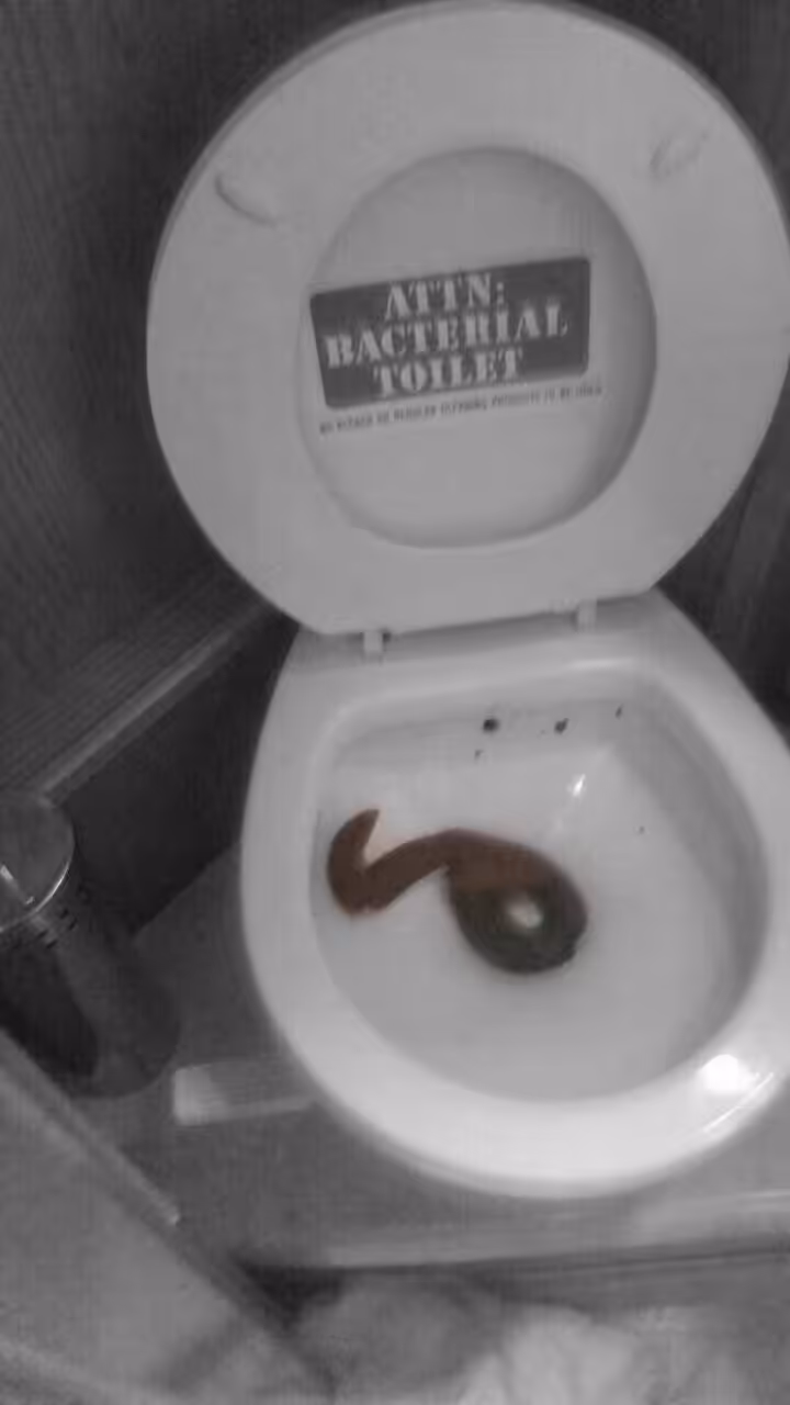 Literal Shit - Monochrome taster