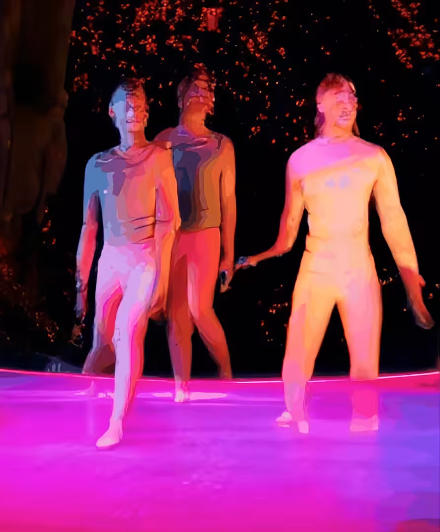 The walking of bodies on the changing climate: Sonic Decomposition of Corporate Bodies