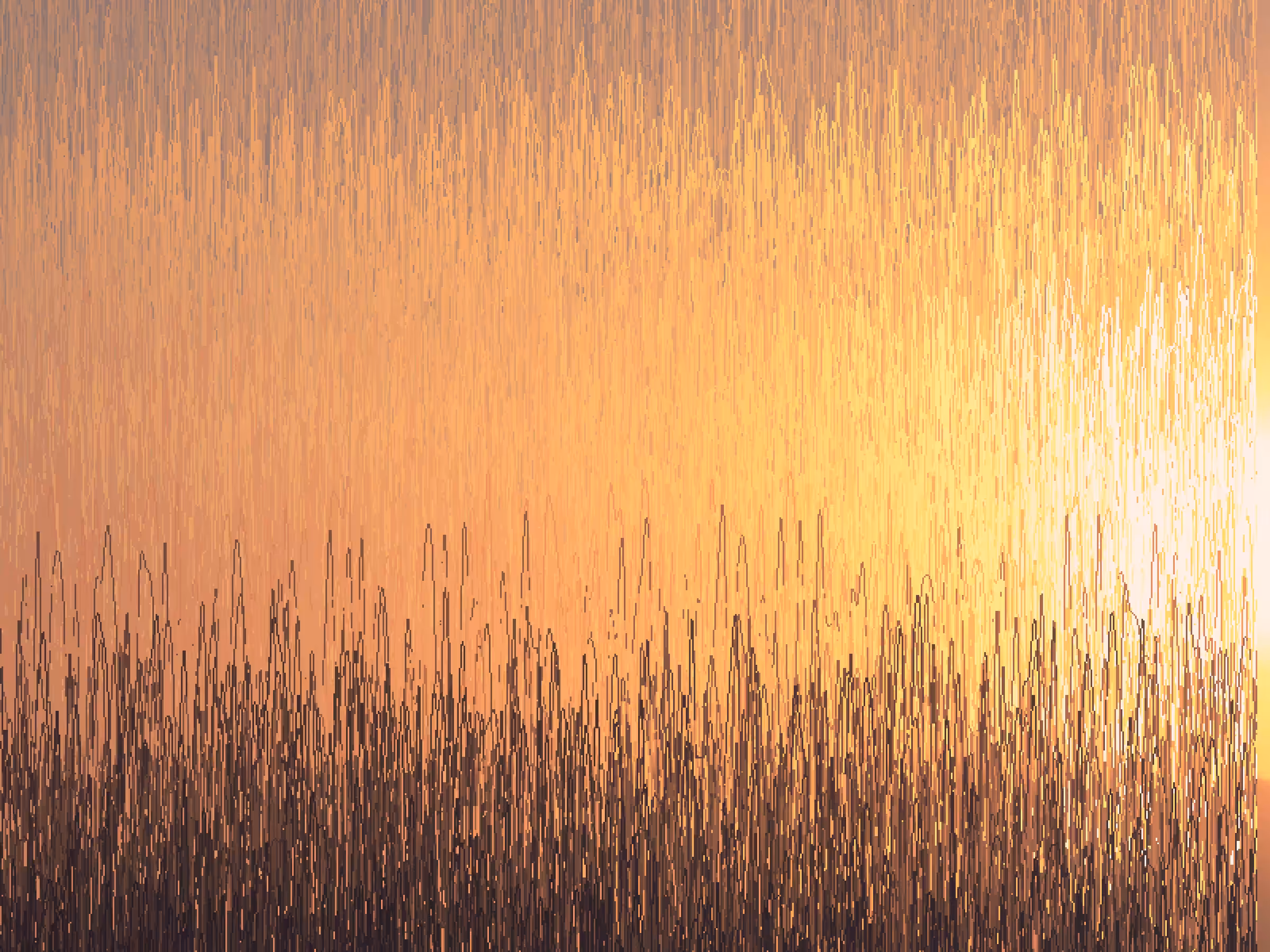 Sunburn