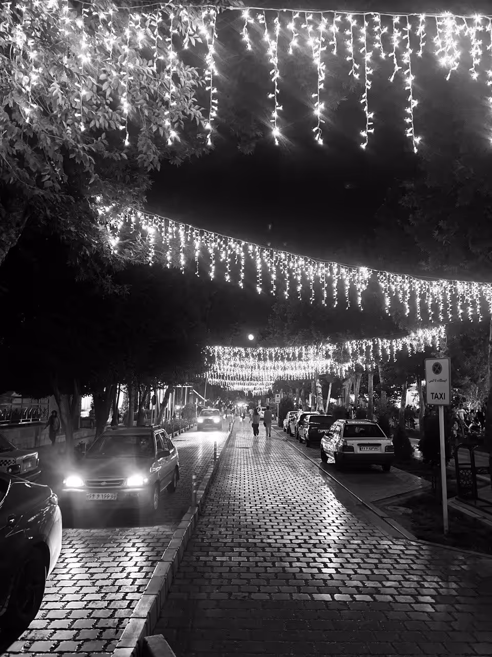 Luminous night