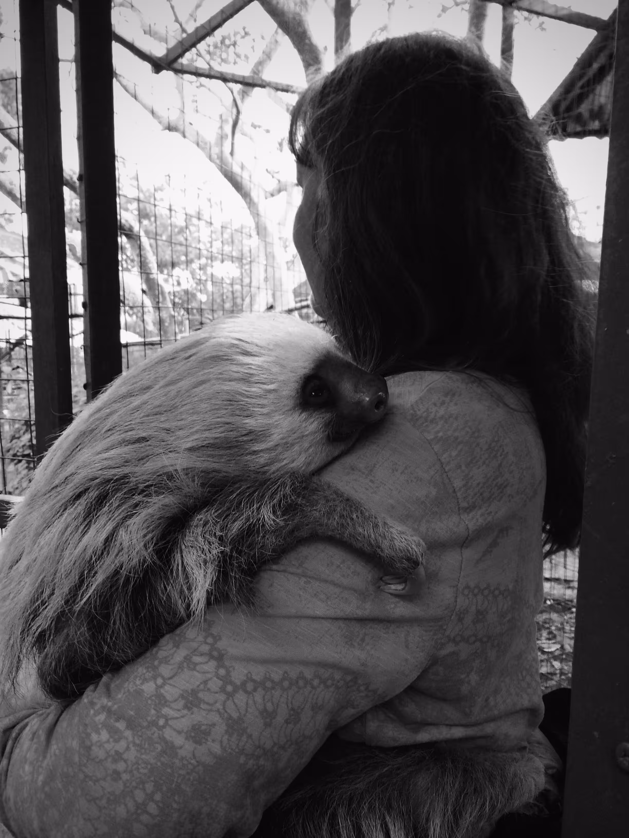 sloth sanctuary