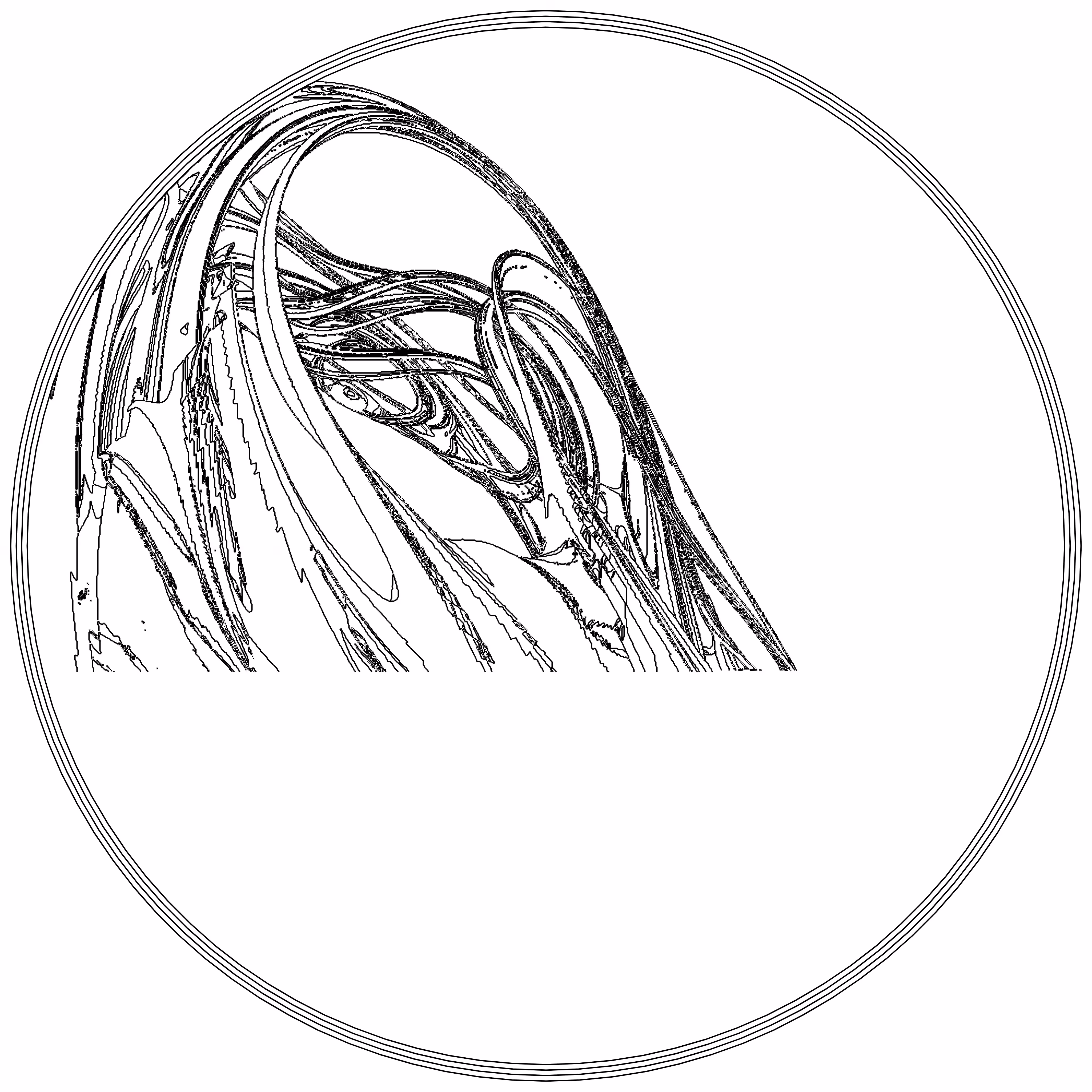 LL21 Fractal Contour #41