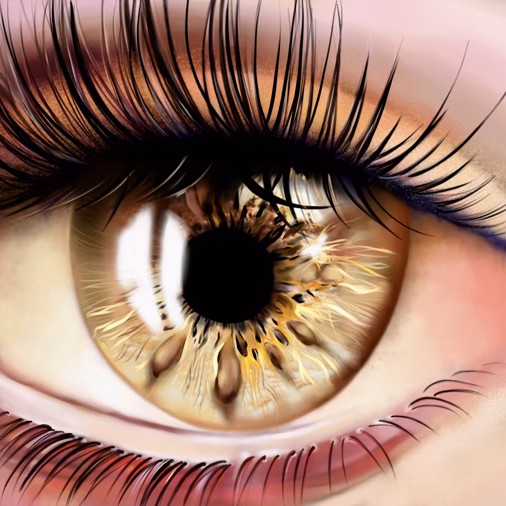 Venus eye