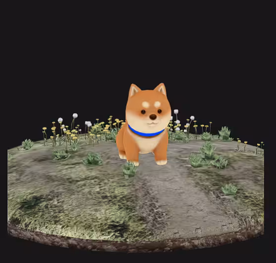 Shiba in Spring Season
