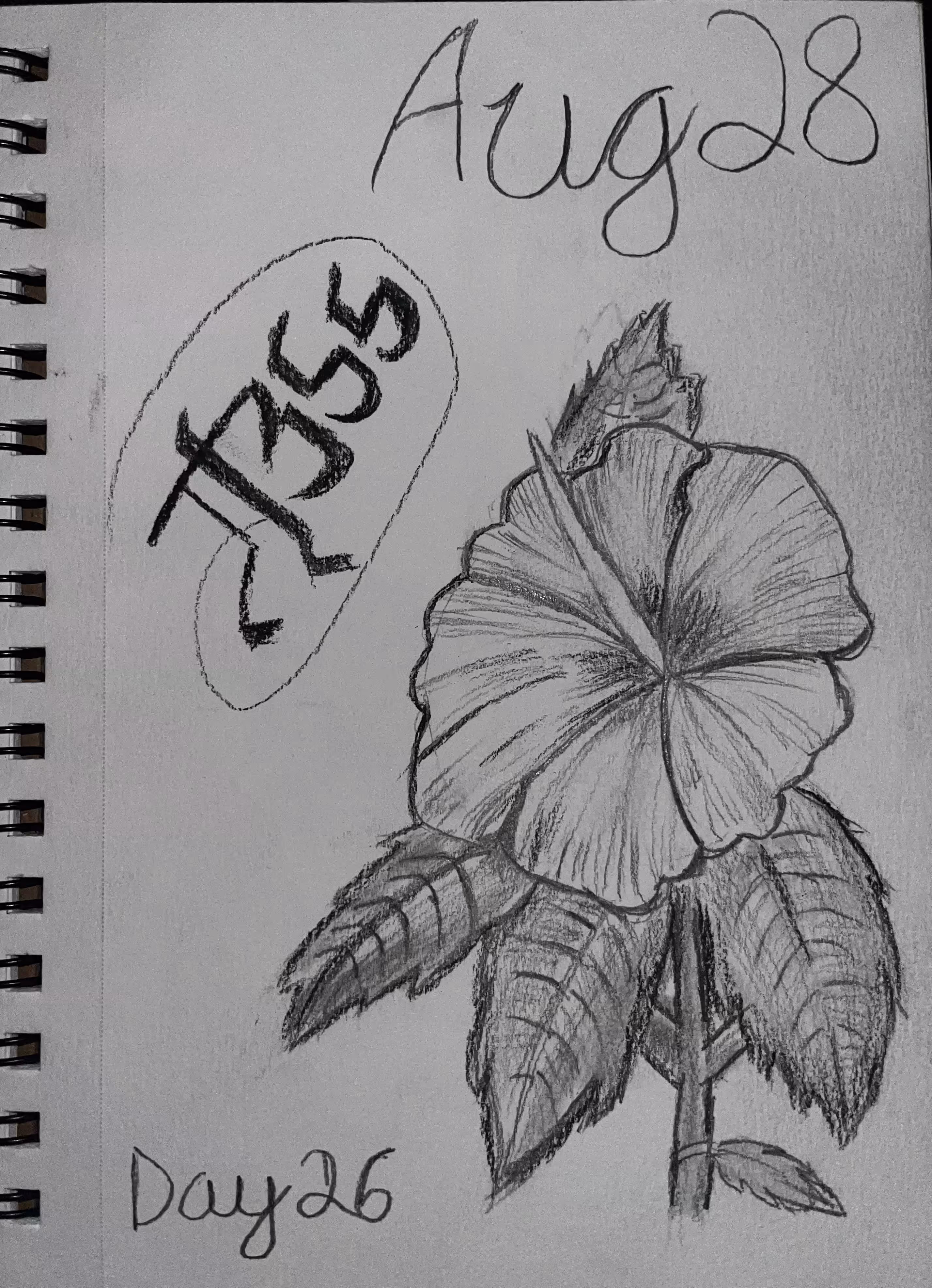 Aug 28 day 26
