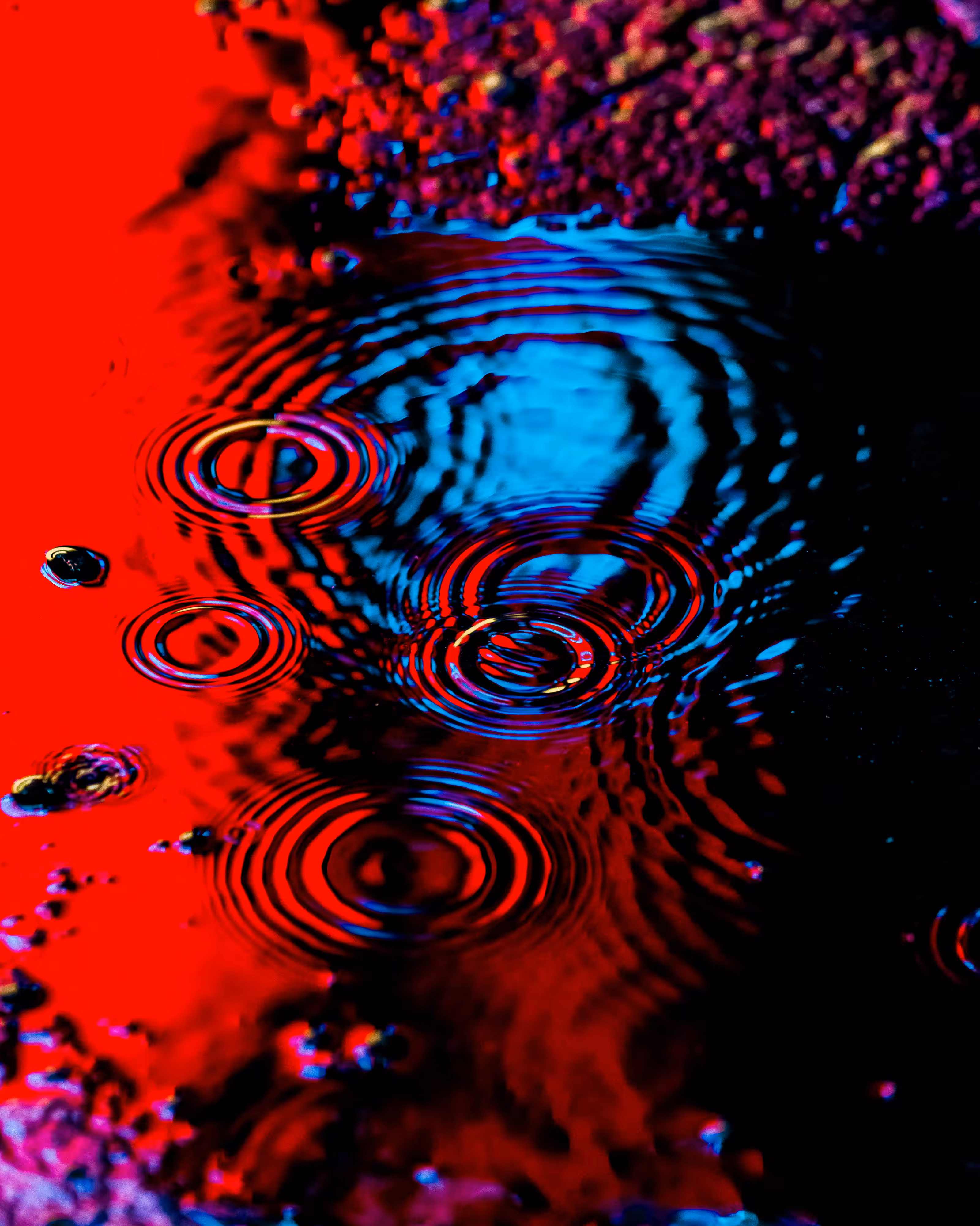 DRIP #2: REFLECTION