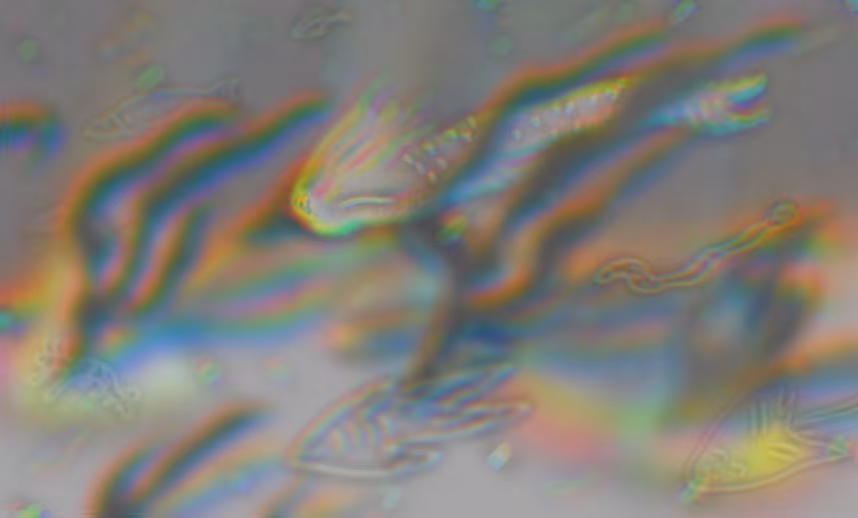 water dance