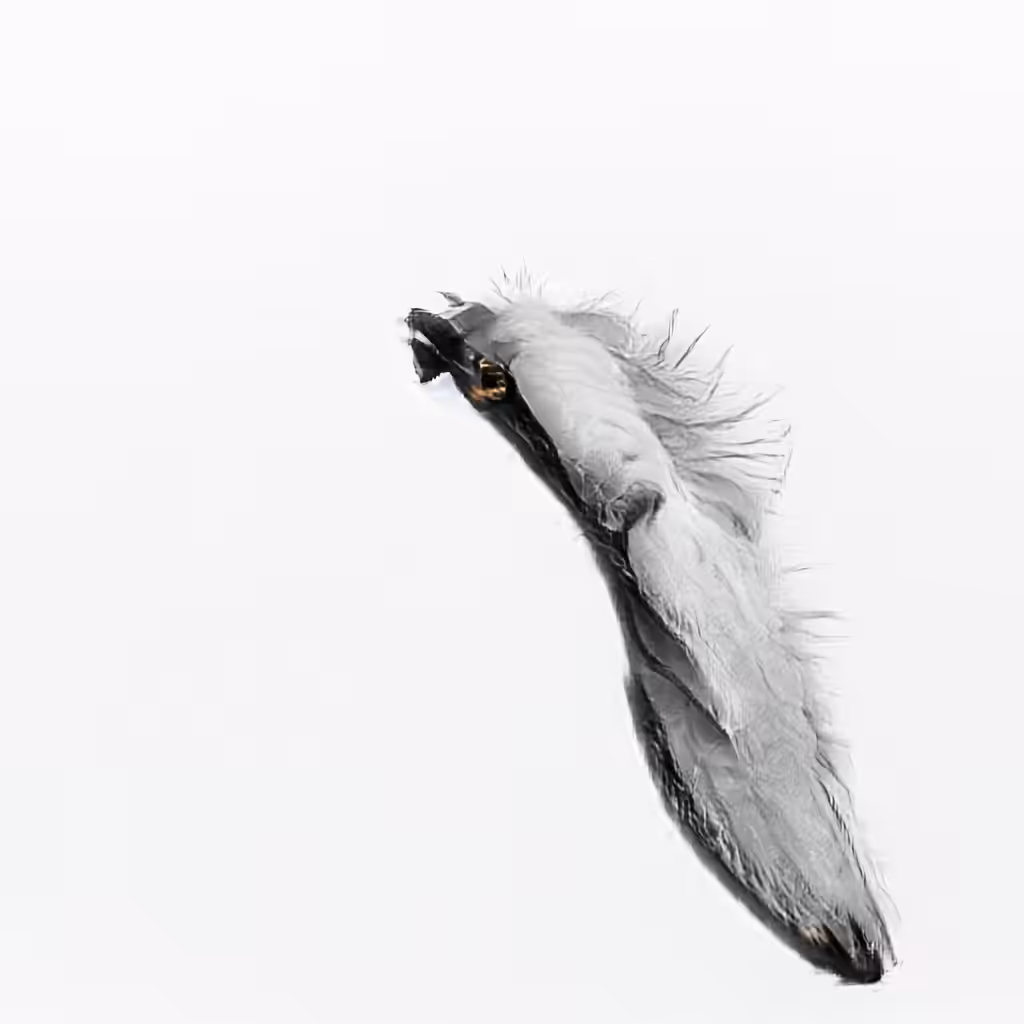 The Non-Human Artwork Project #52