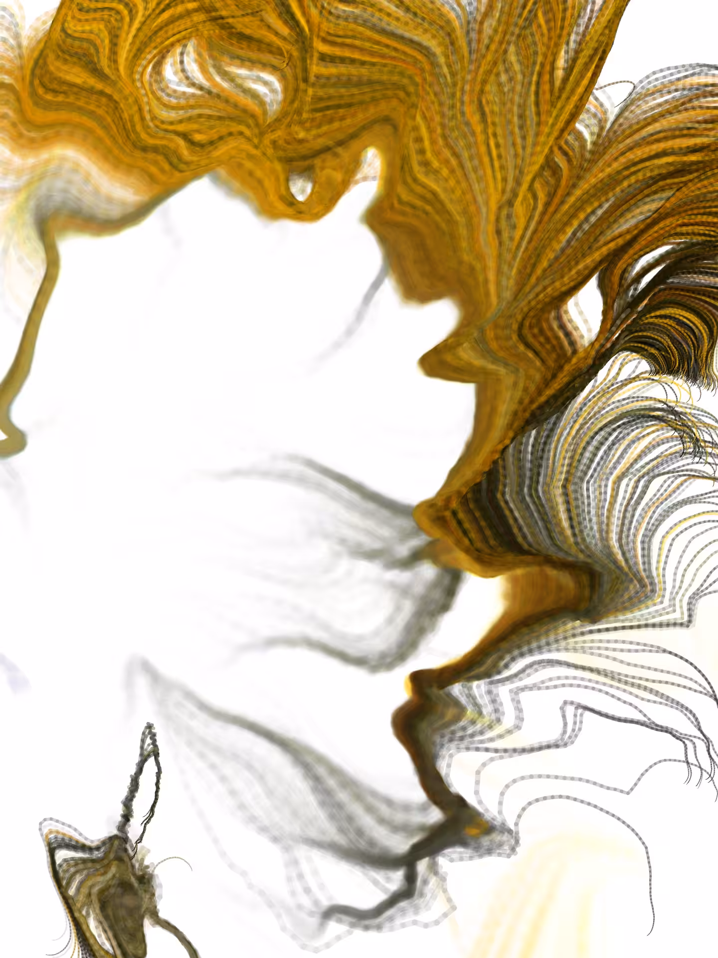 Radicularia 02