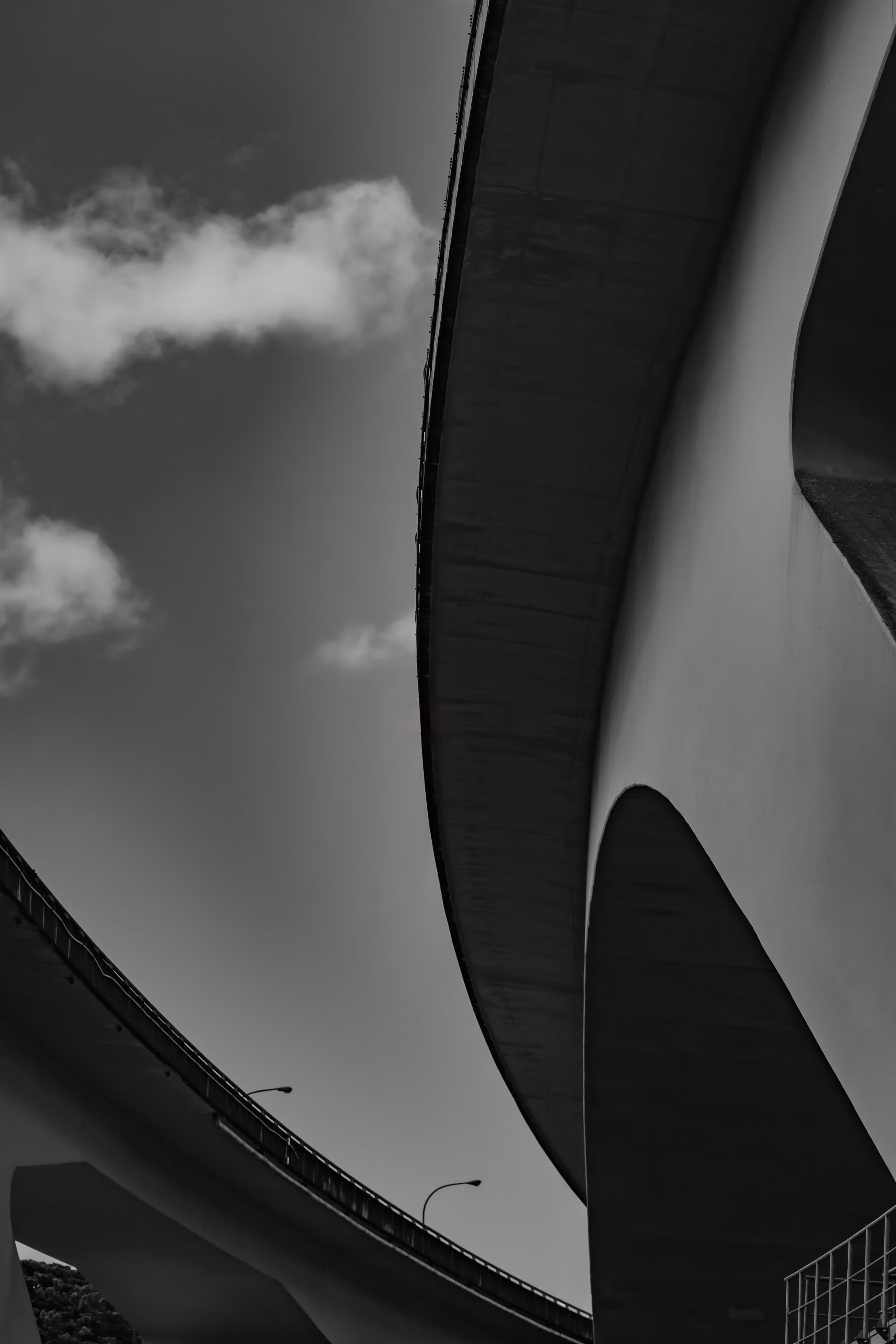 Curve