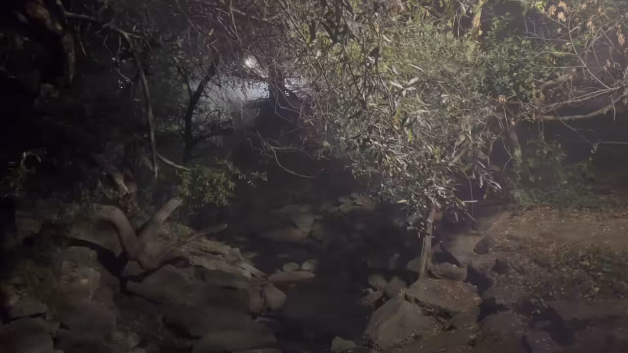 Strawberry Creek Morning Cinemagraph