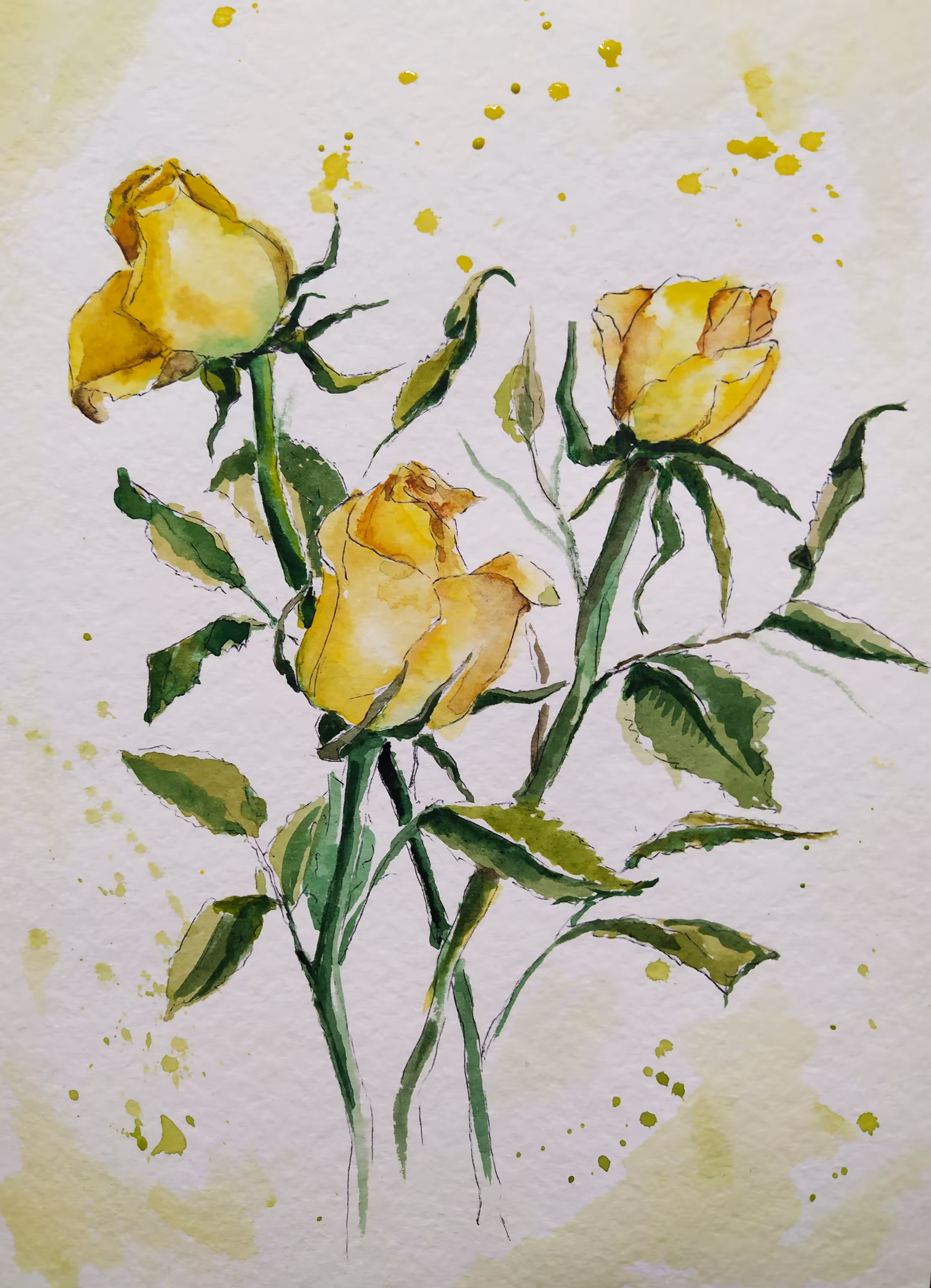 Yellow Roses