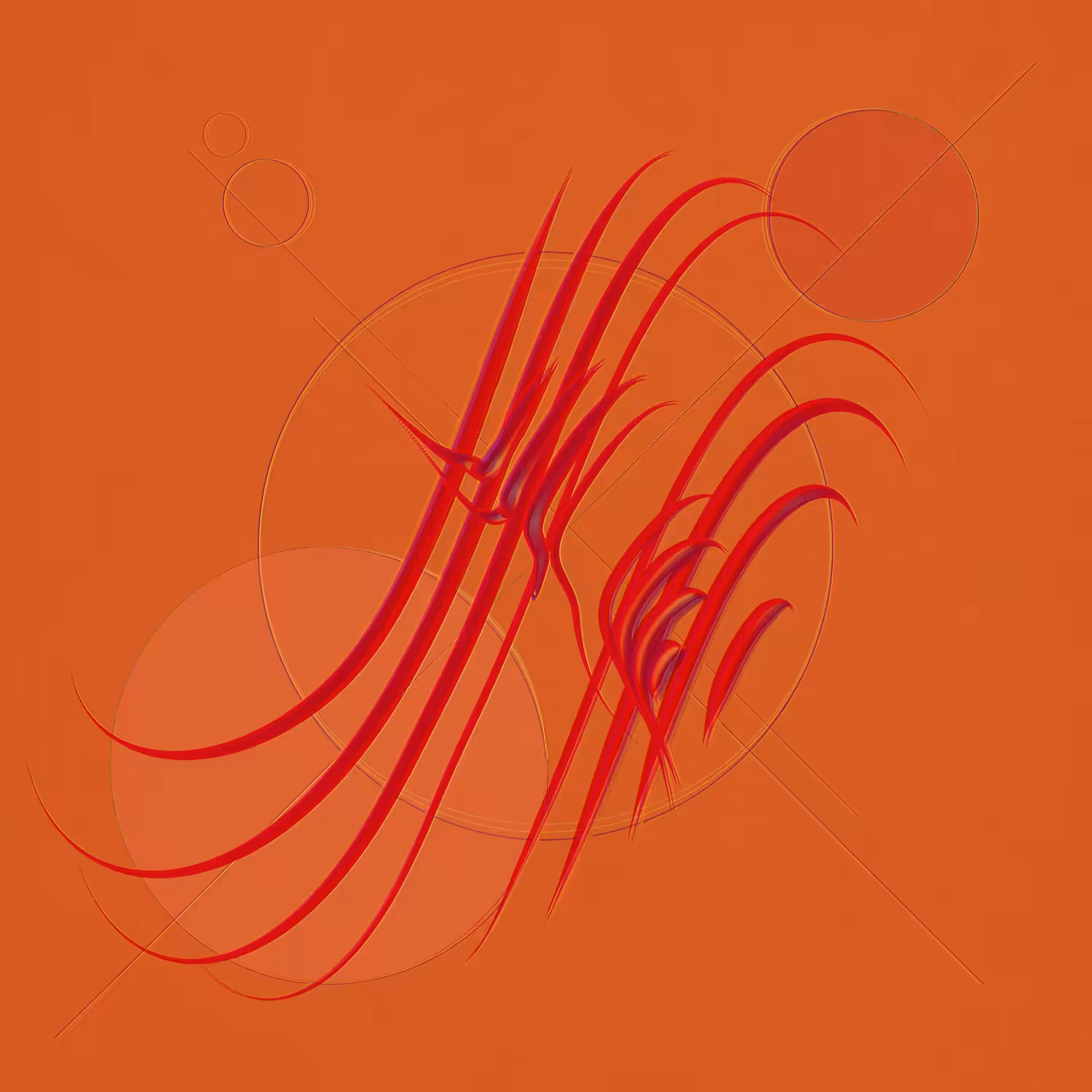 Droops 12