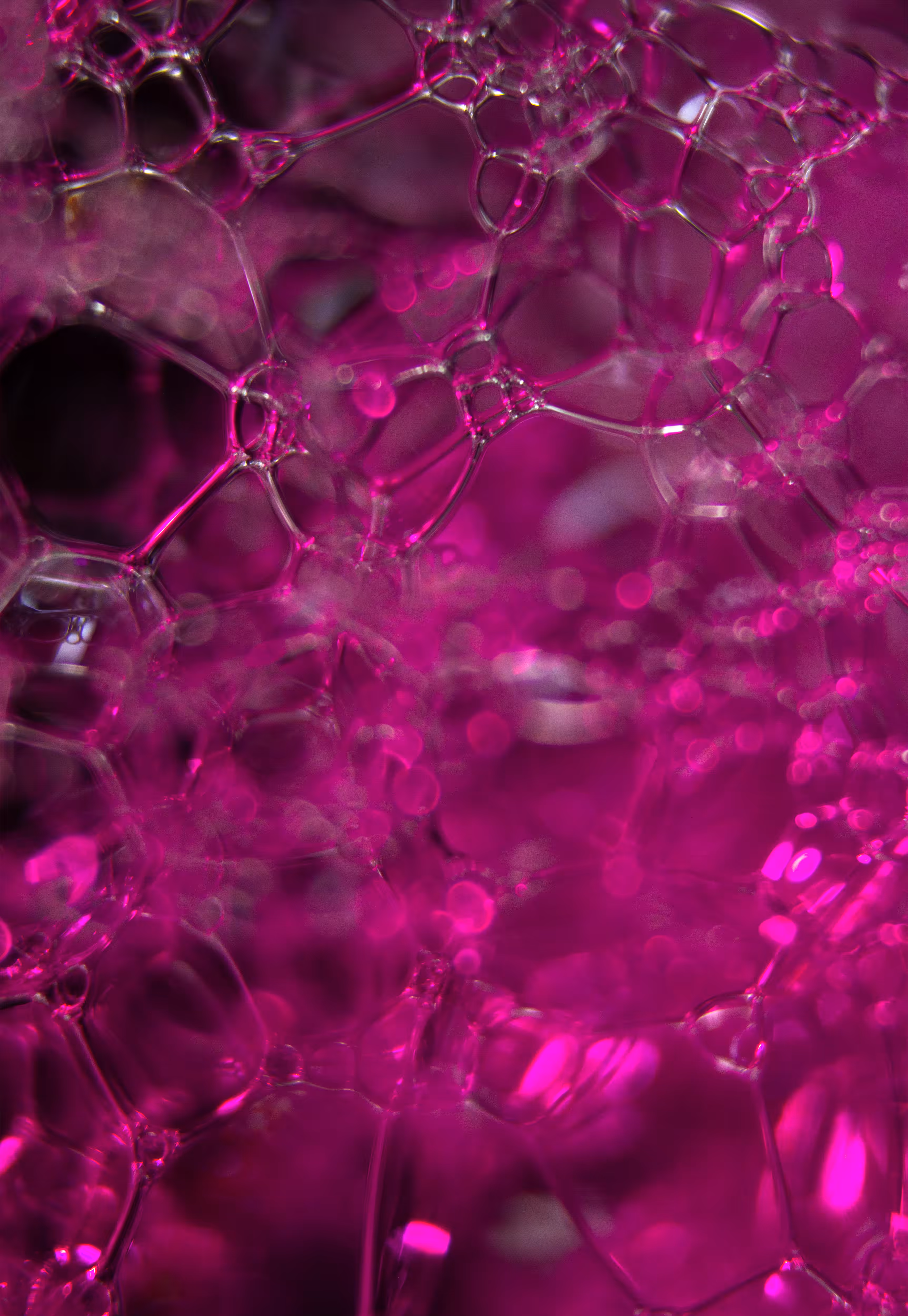 Abstract World of Soap Bubbles: #154 Bubbles