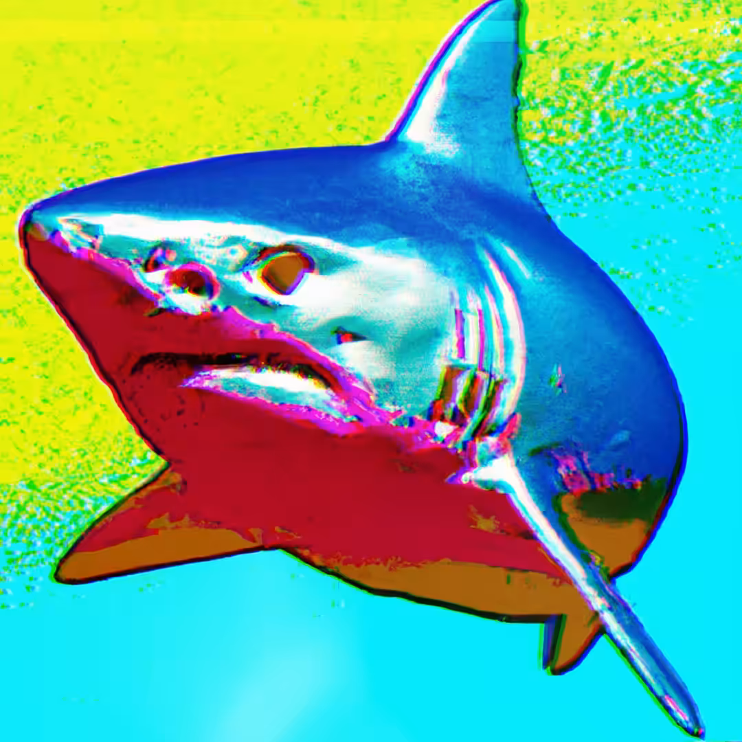 SHARK - SA#002