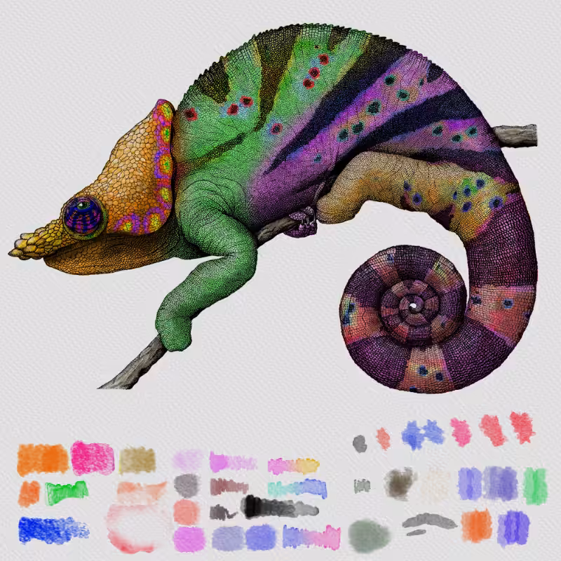 Colorful Cameleon #30