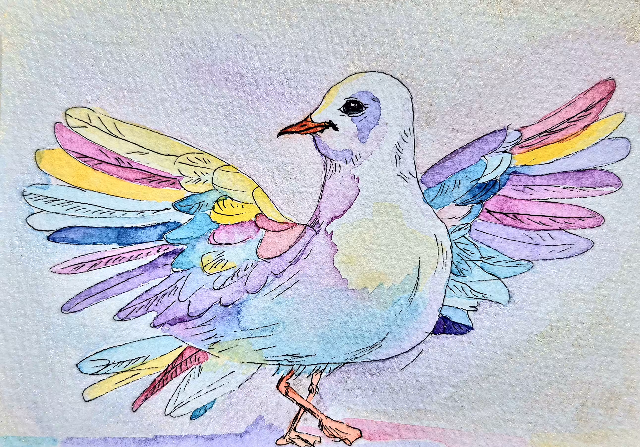 Seagull