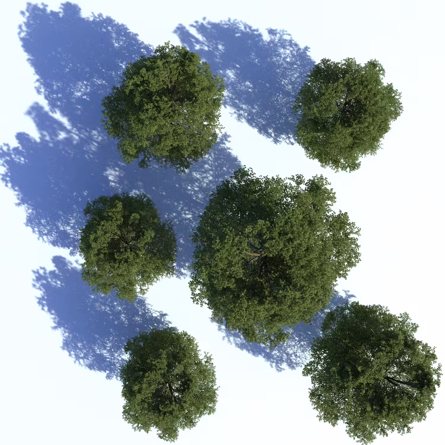 terrarum two
