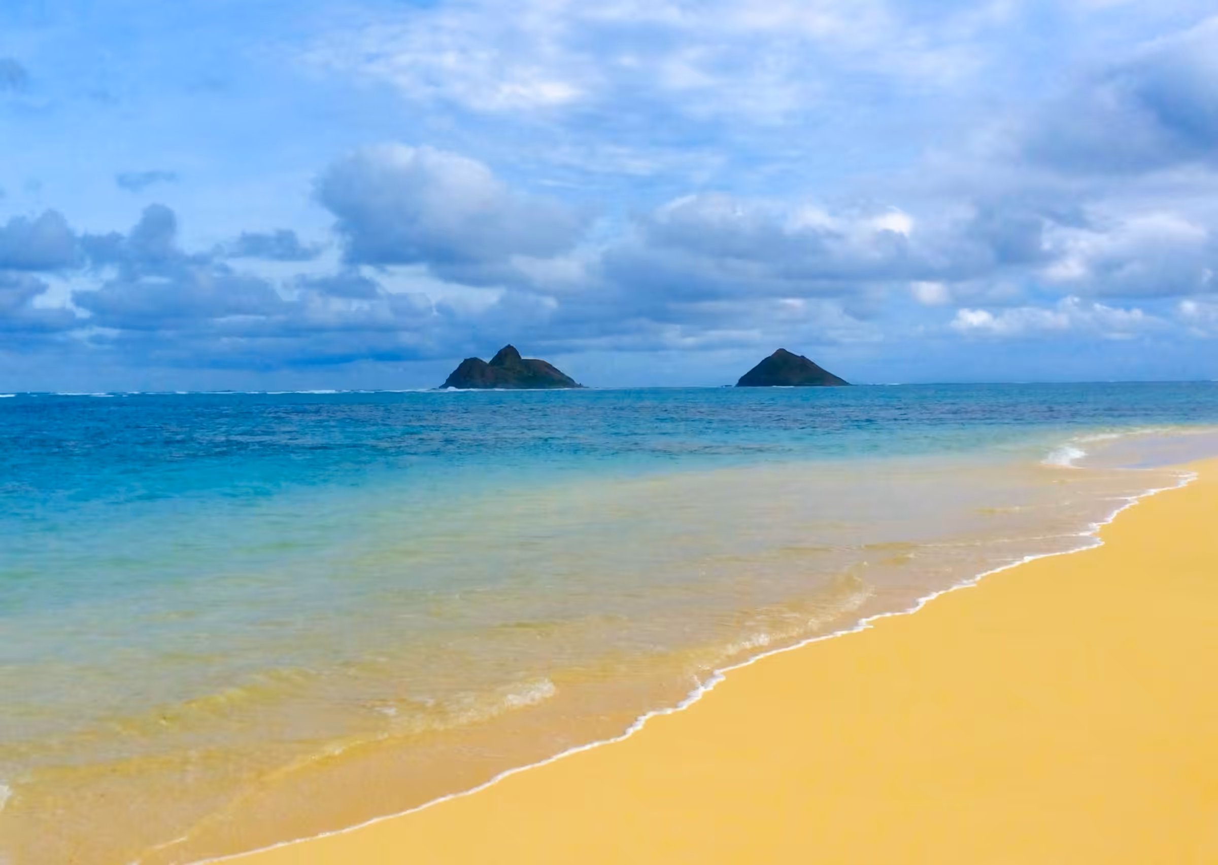 Paradise
