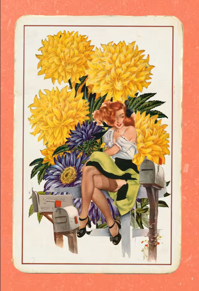 Paper Pinups #30