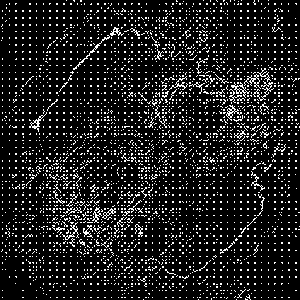 Liquid Abstract G2-19