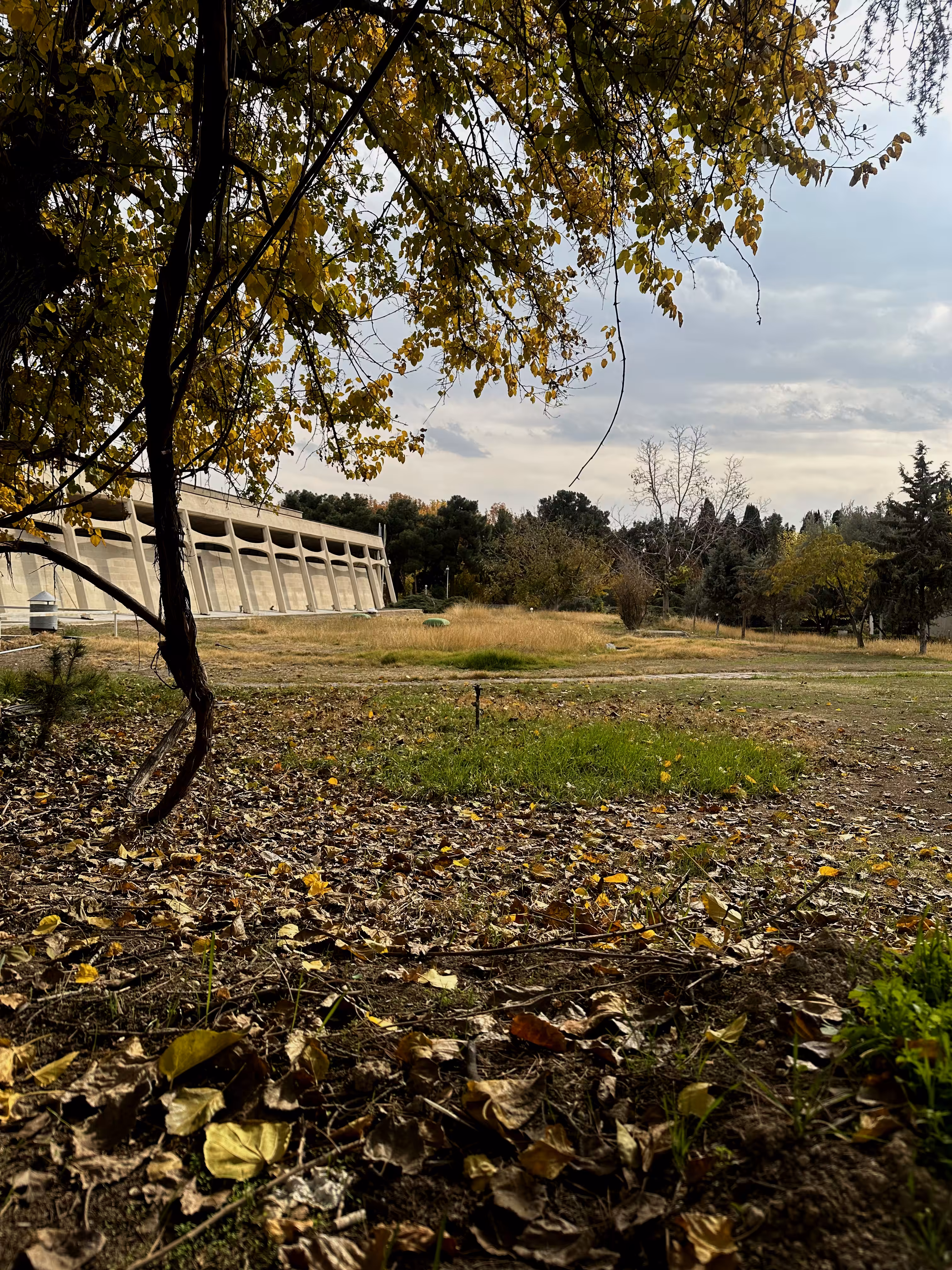 Beautiful Autumn
