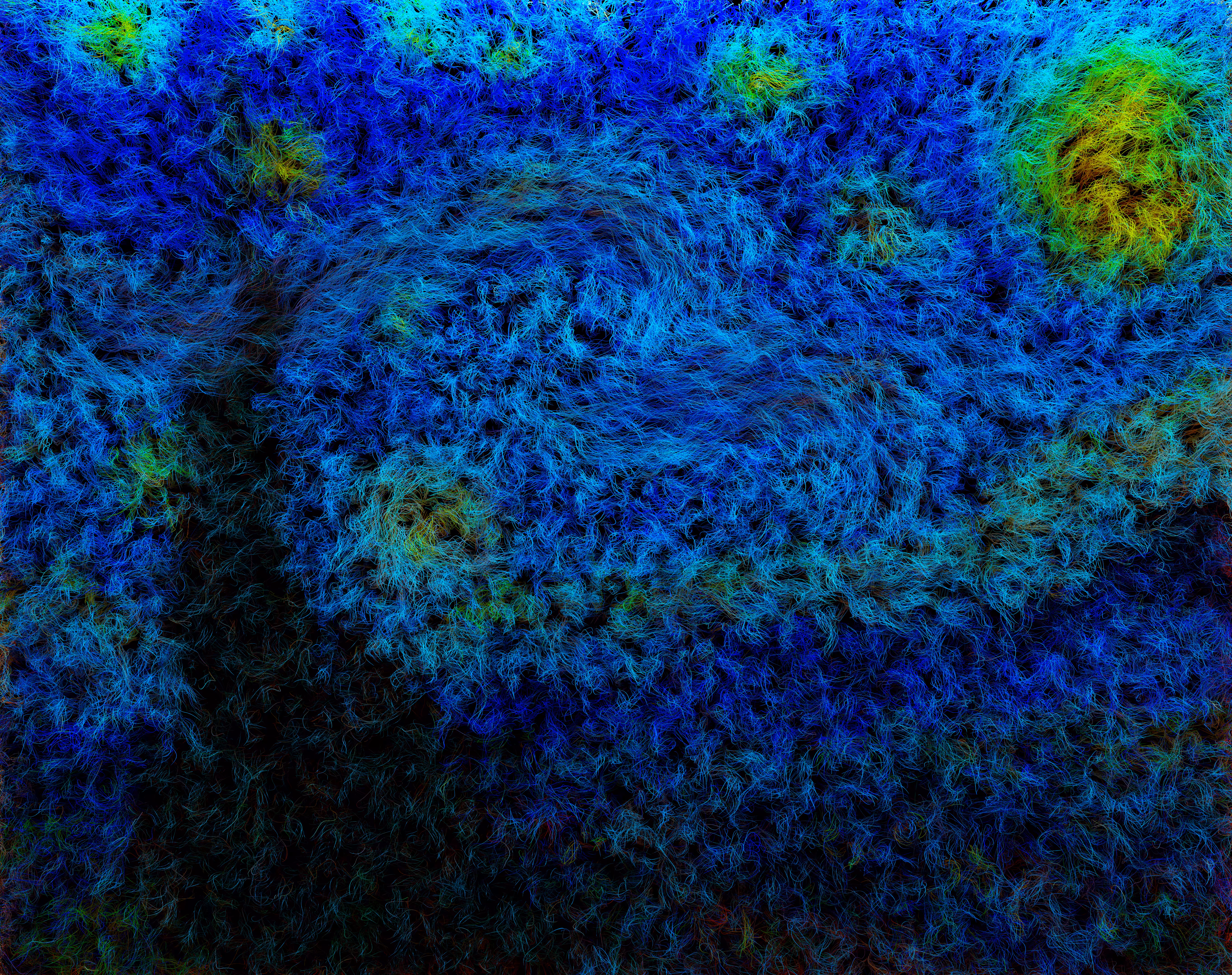 The Starry Night