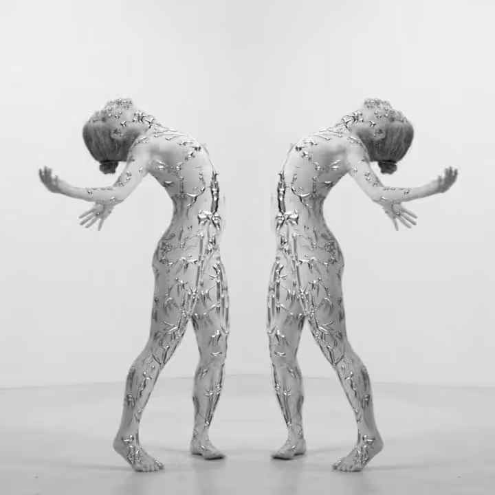 Porcelaine N°6