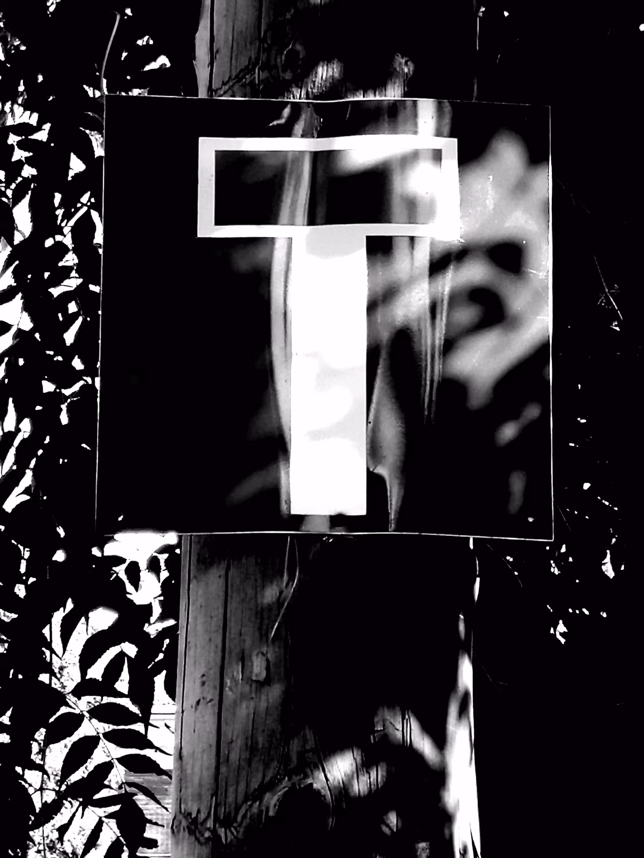 dead ends, there is a choice, stay still and rot, go back and start over, or go up and be free