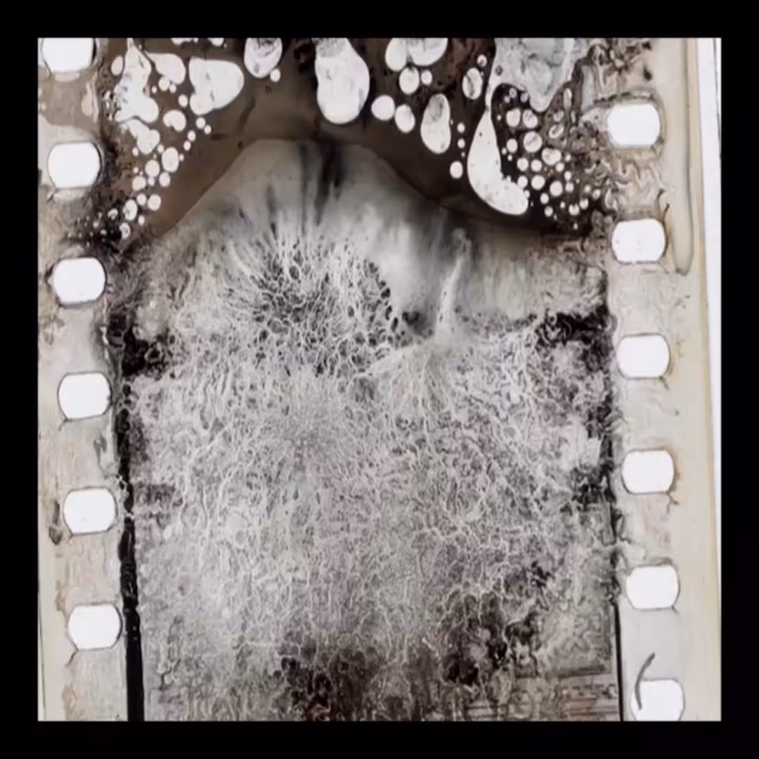 doubledecay